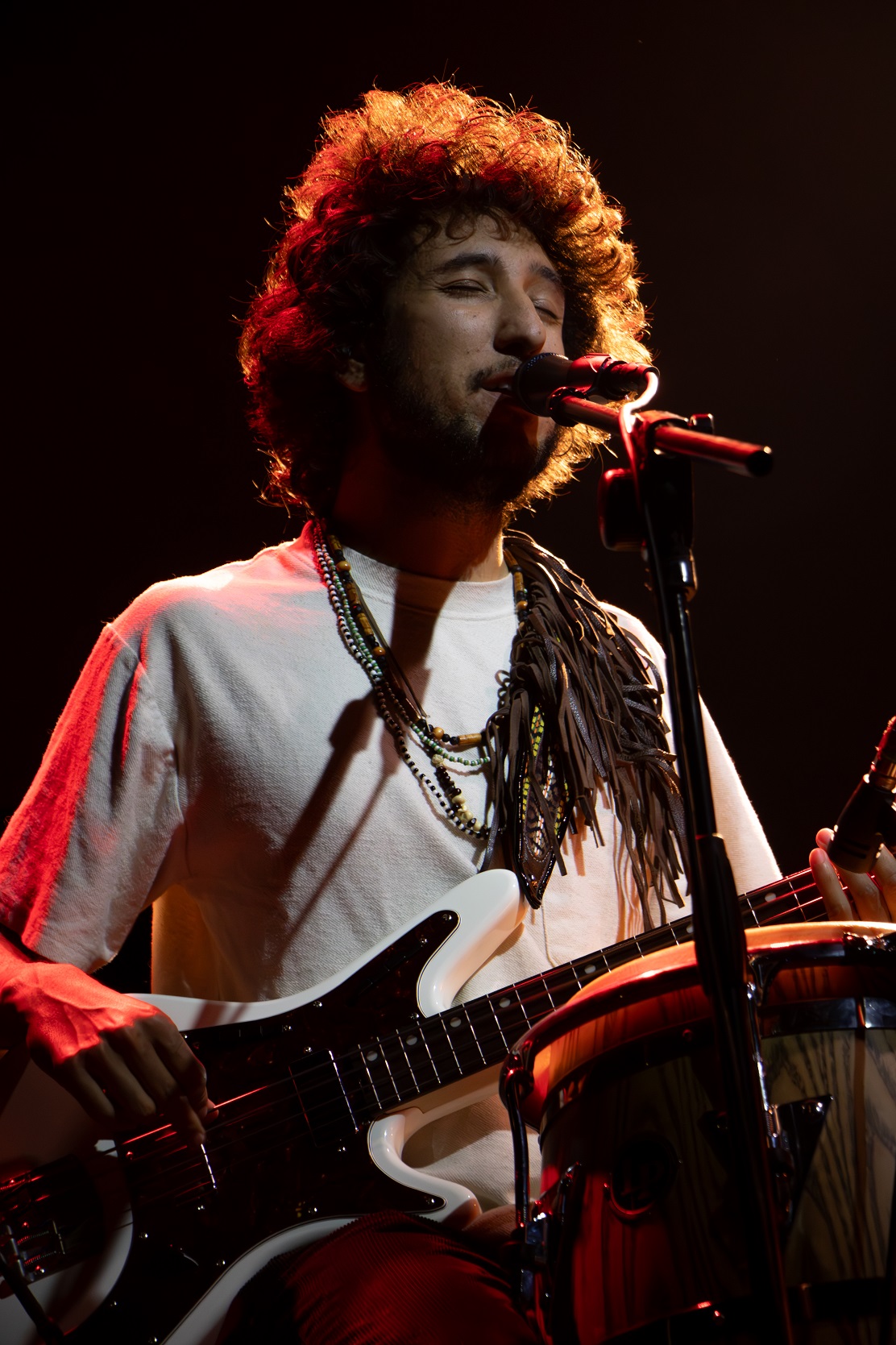 Meshell Ndegeocello + Masquemusica