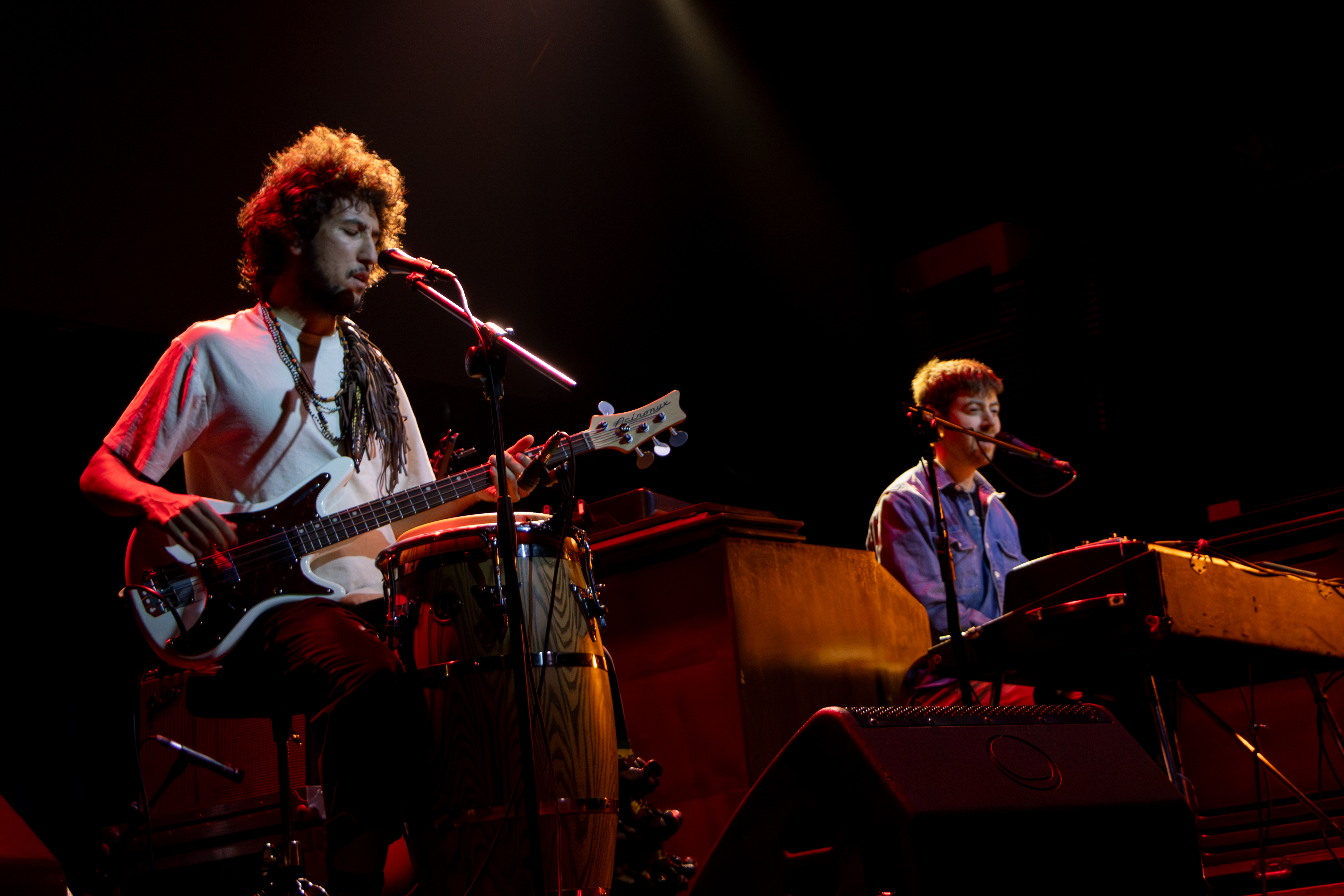 Meshell Ndegeocello + Masquemusica