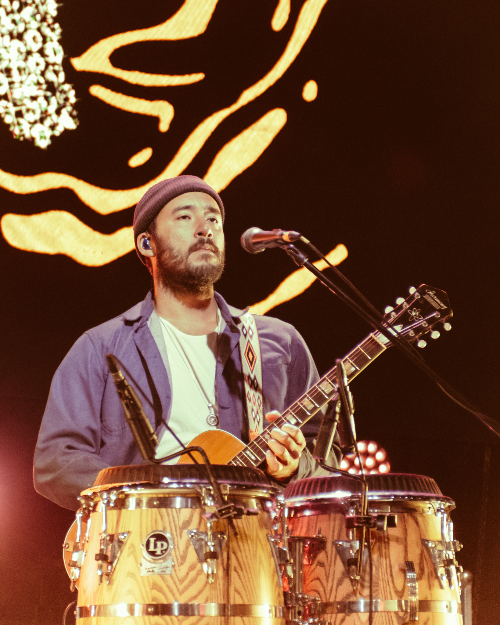 Black Pumas - Chronicles of a Diamond Tour