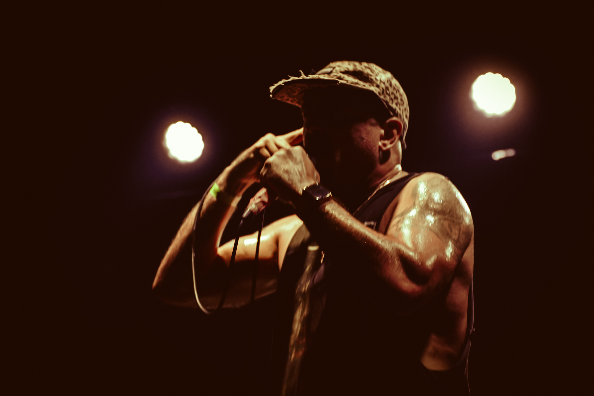 Face to Face - A Wilhelm Scream