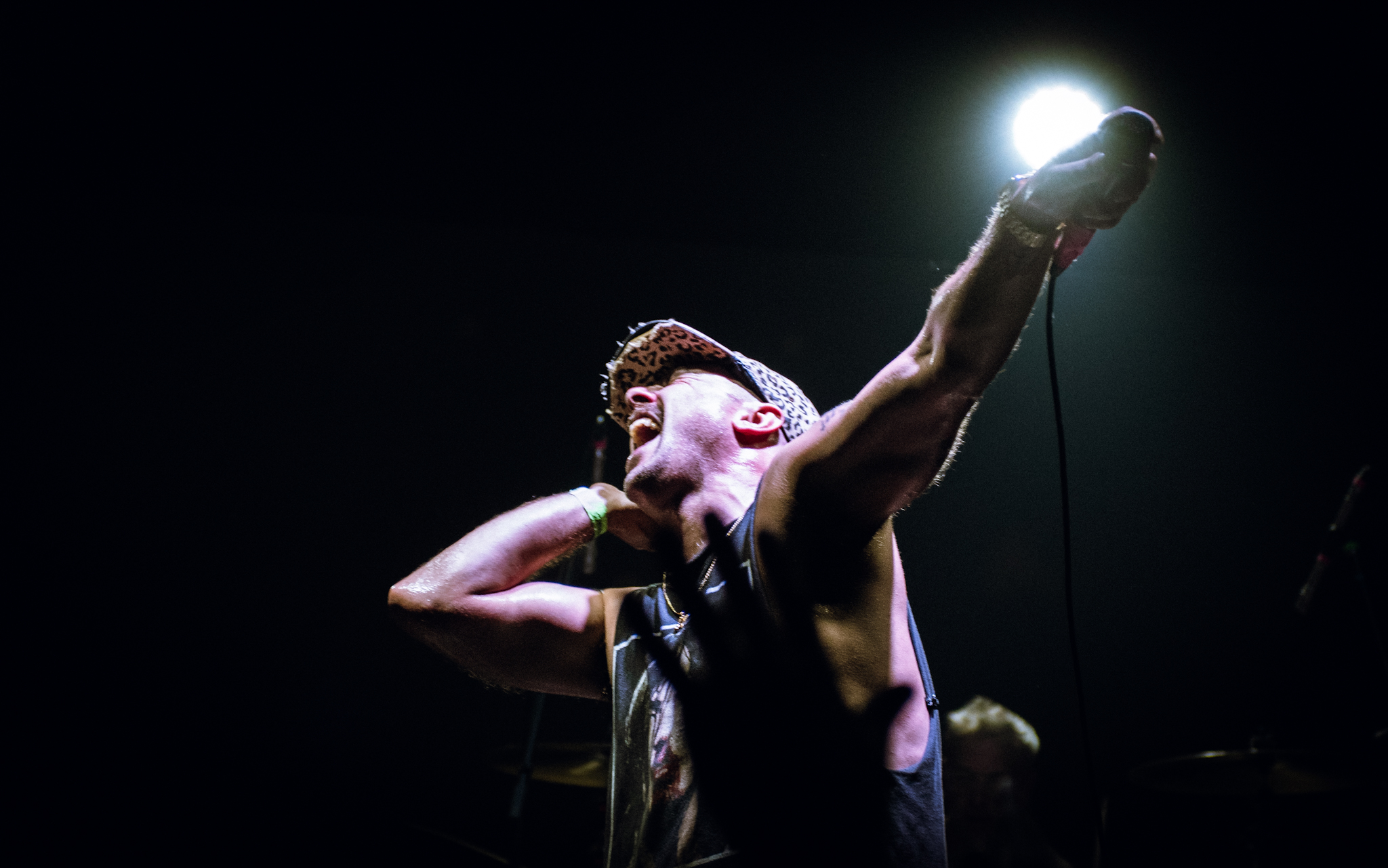 Face to Face - A Wilhelm Scream