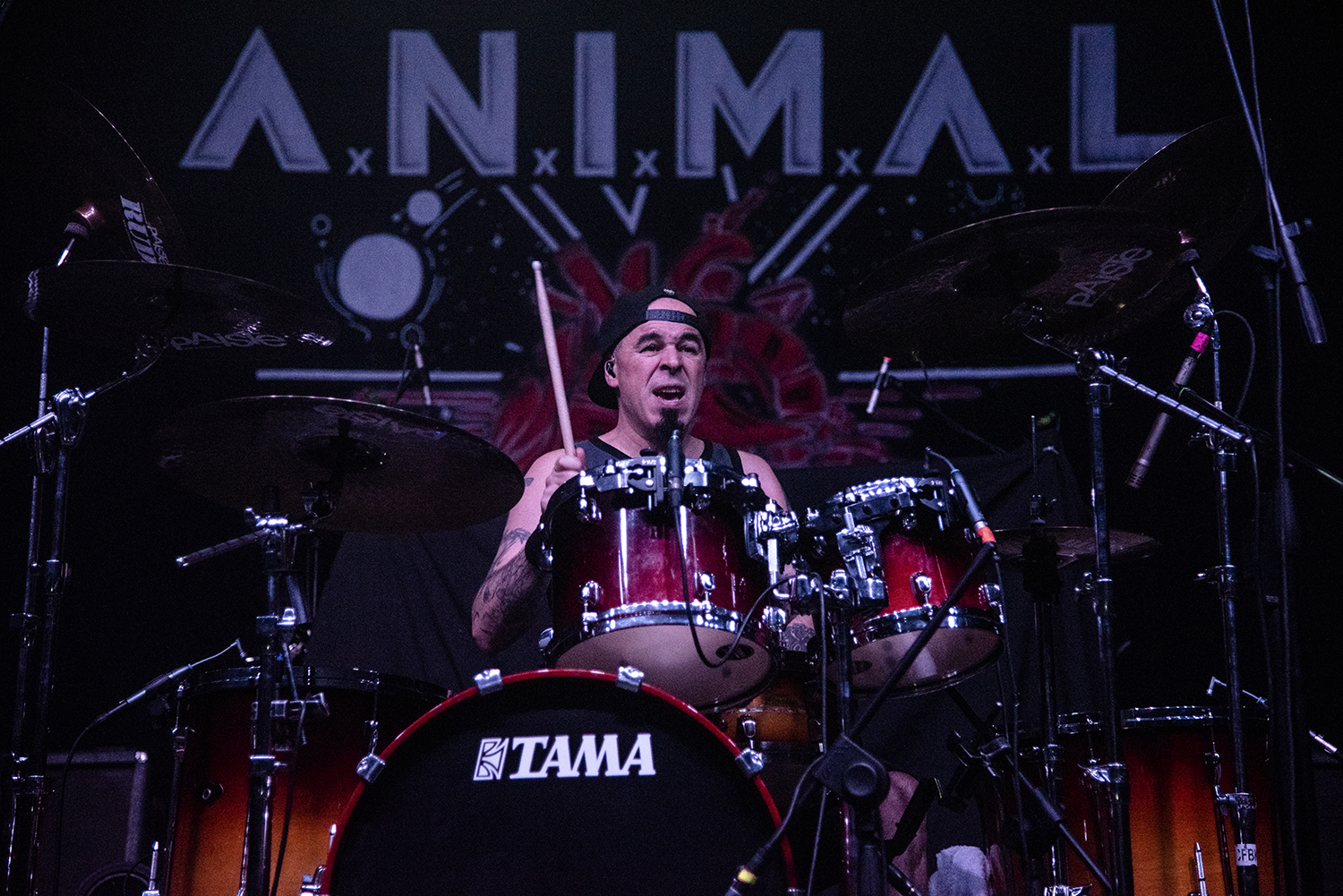 Overkill  "Wings Over Latin America Tour"  -  1 Febrero 2019