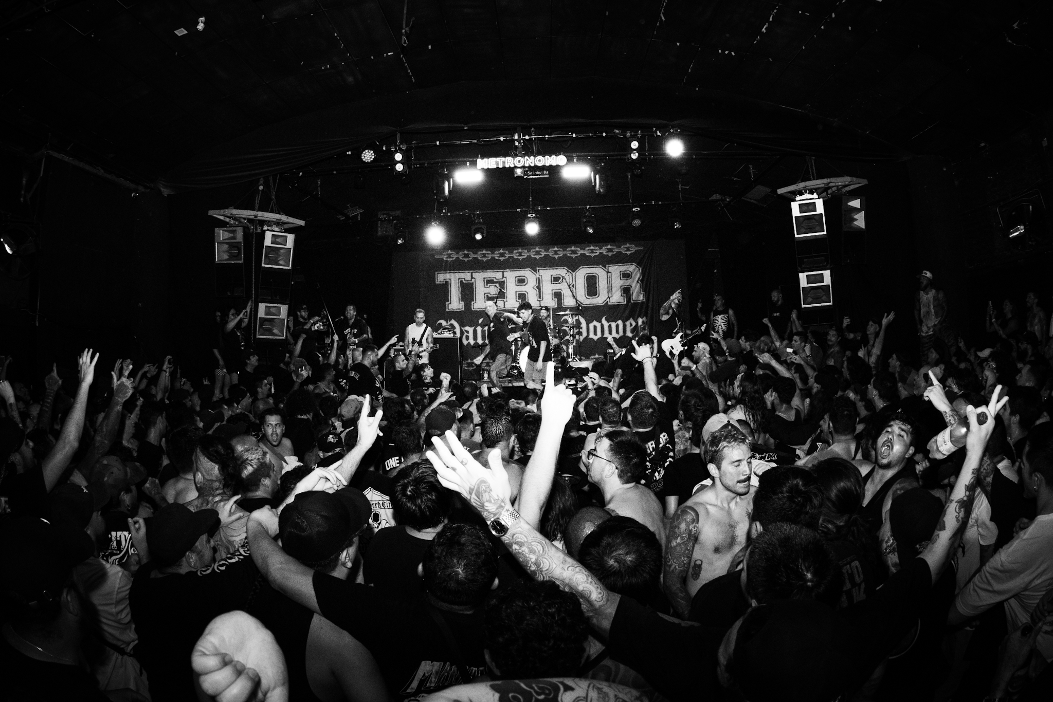 Terror