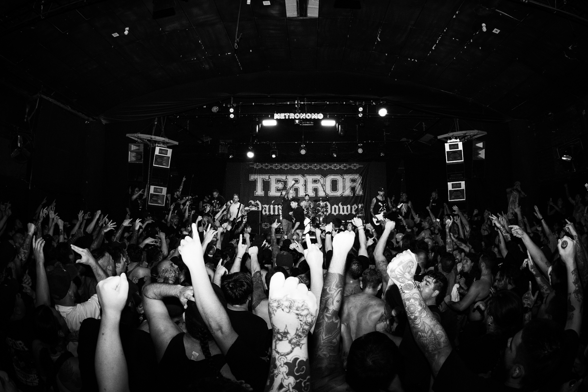 Terror