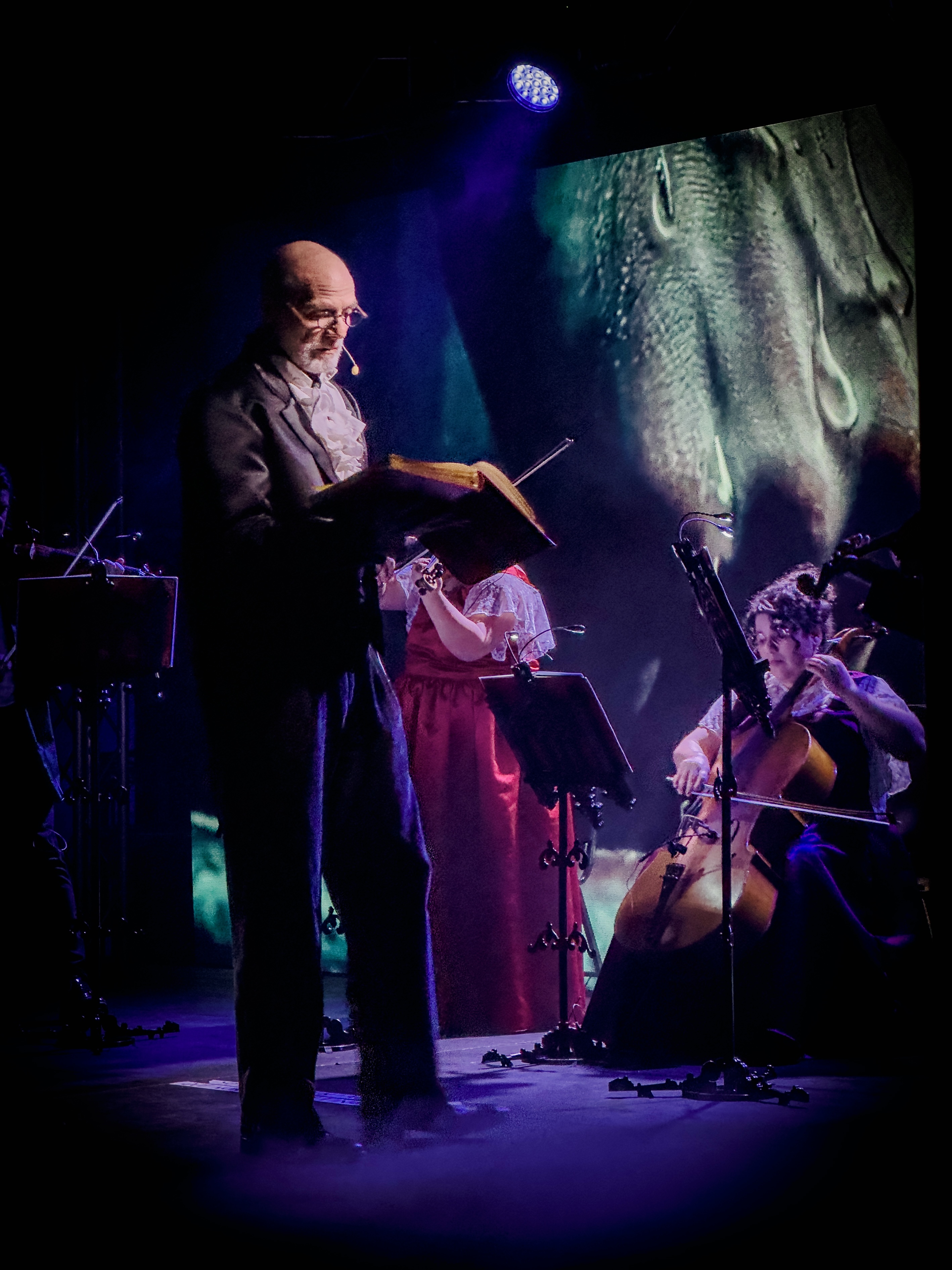 Sound Dreams Quartet - Drácula