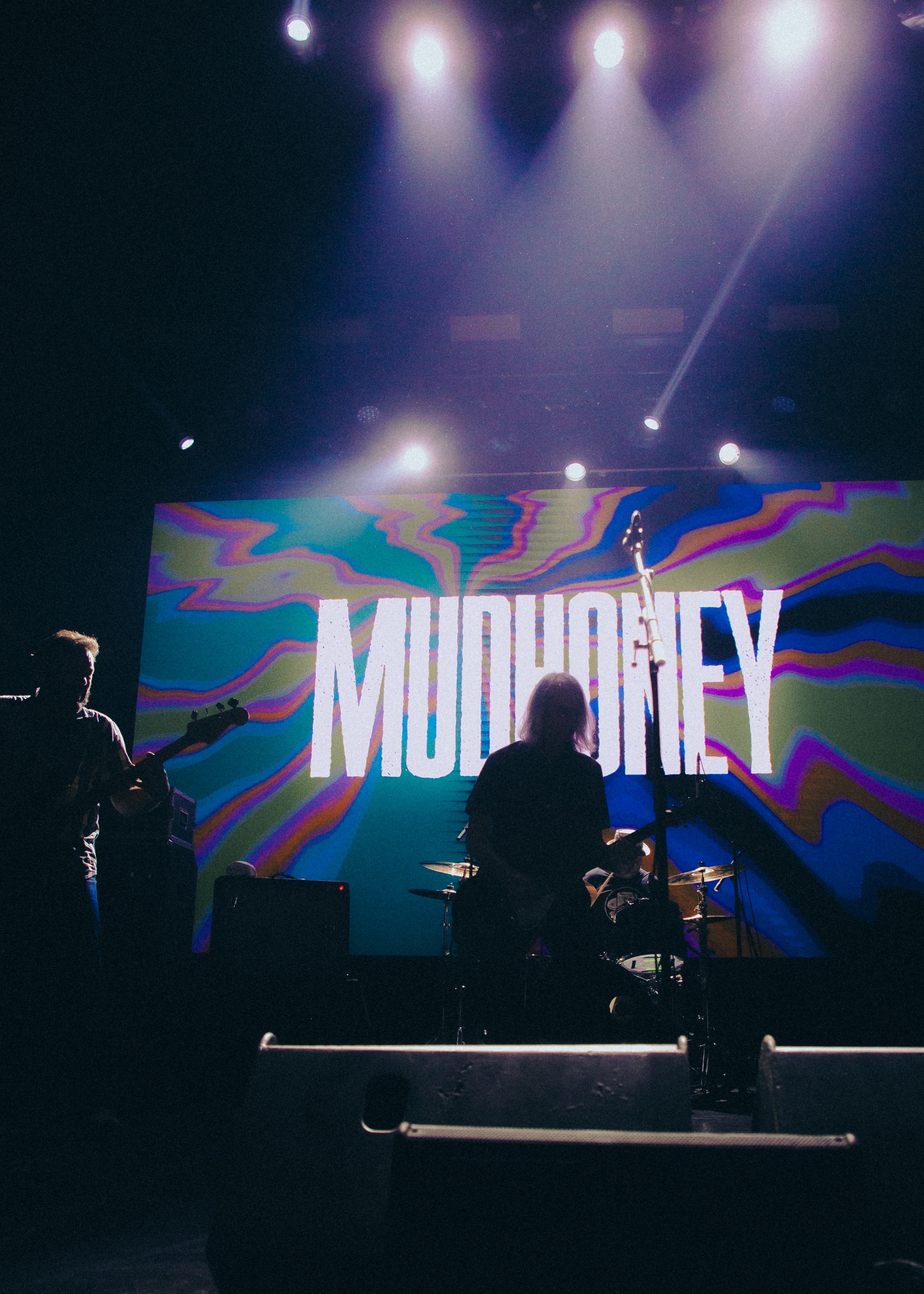 Mudhoney - Alain Johannes