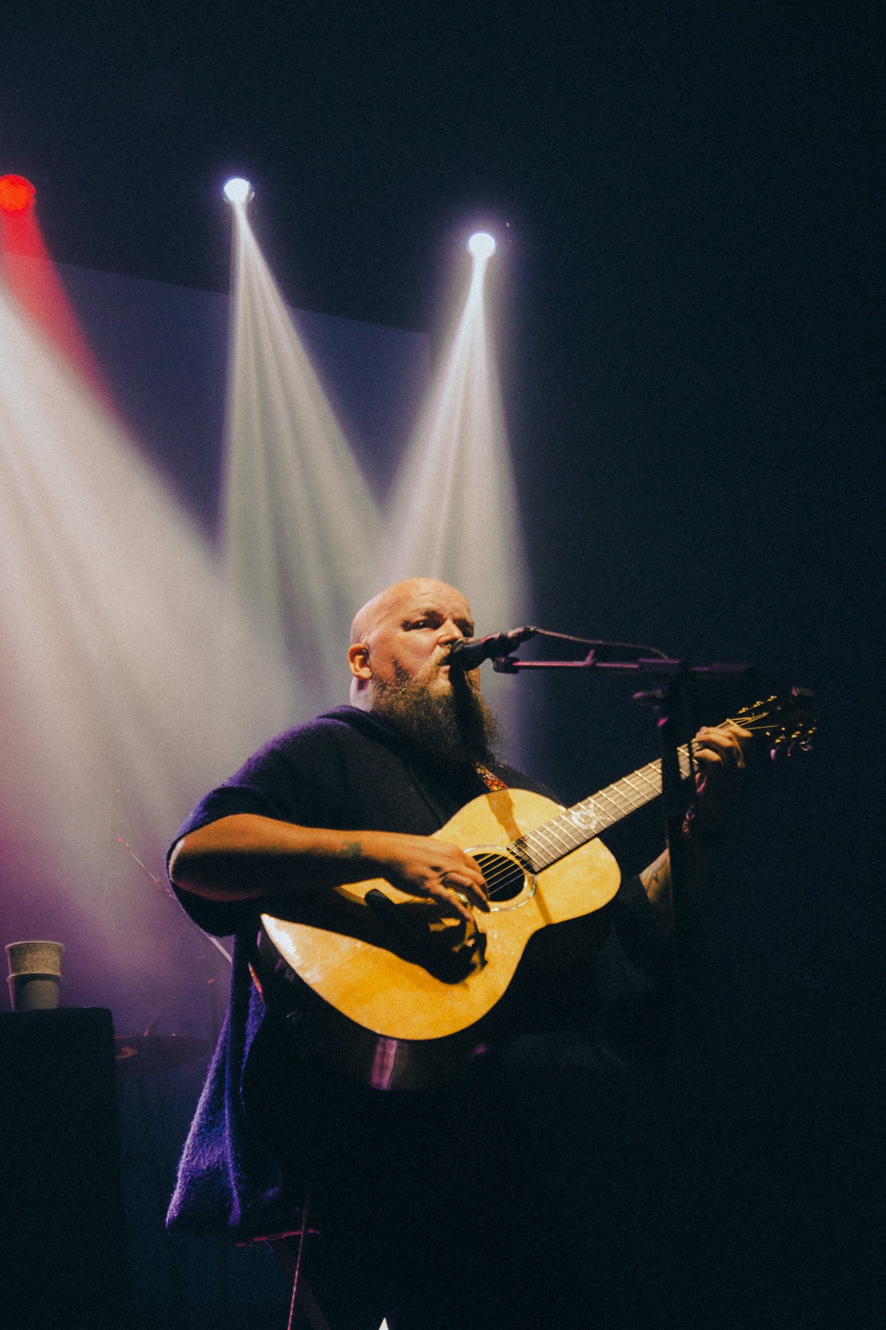 Mudhoney - Alain Johannes