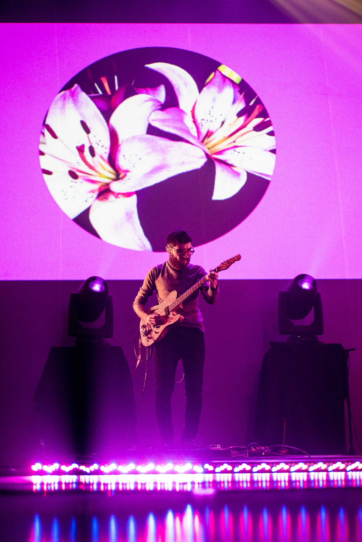 Yorka  -  28 Agosto 2019