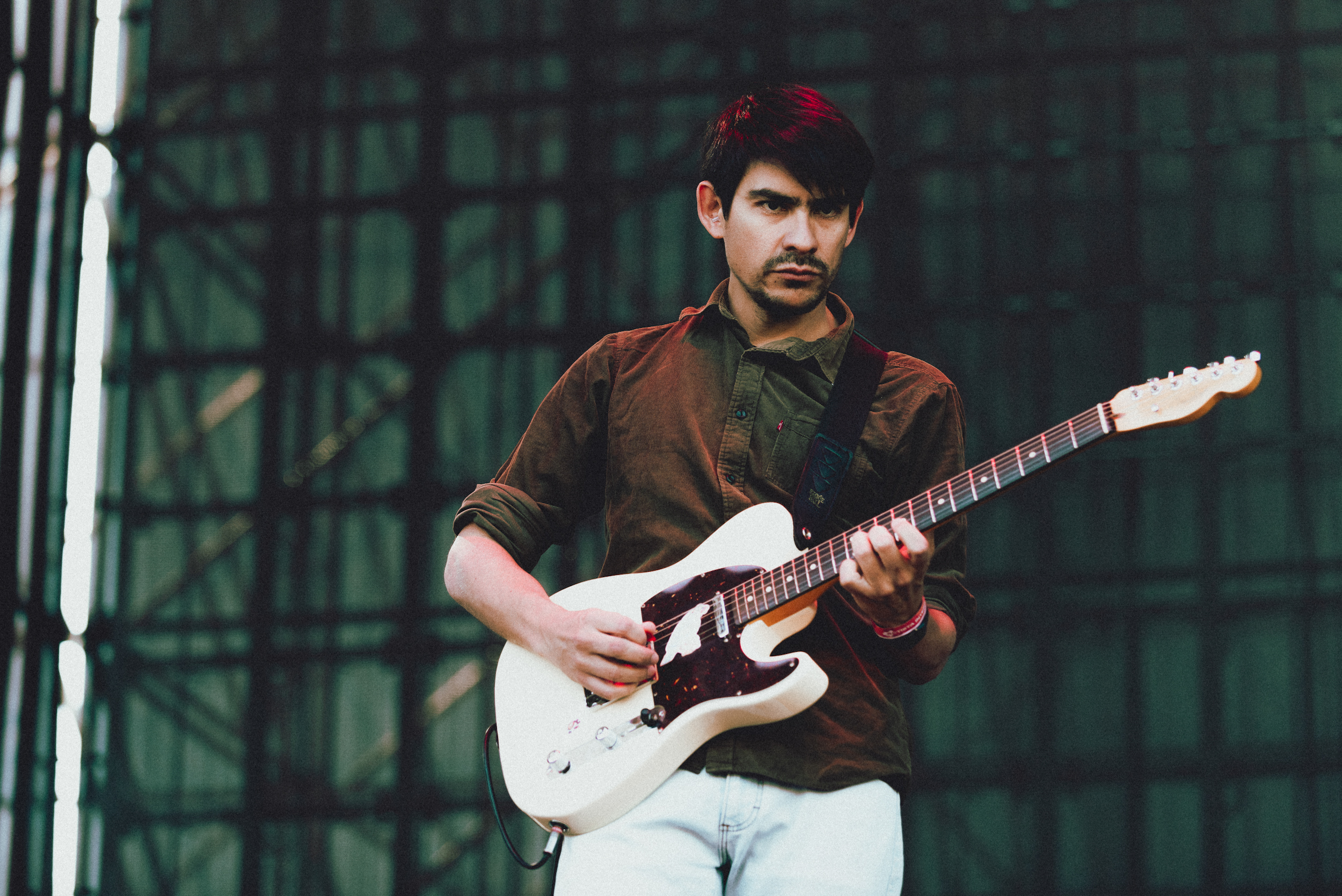 Fauna Primavera 2025 - Día 1