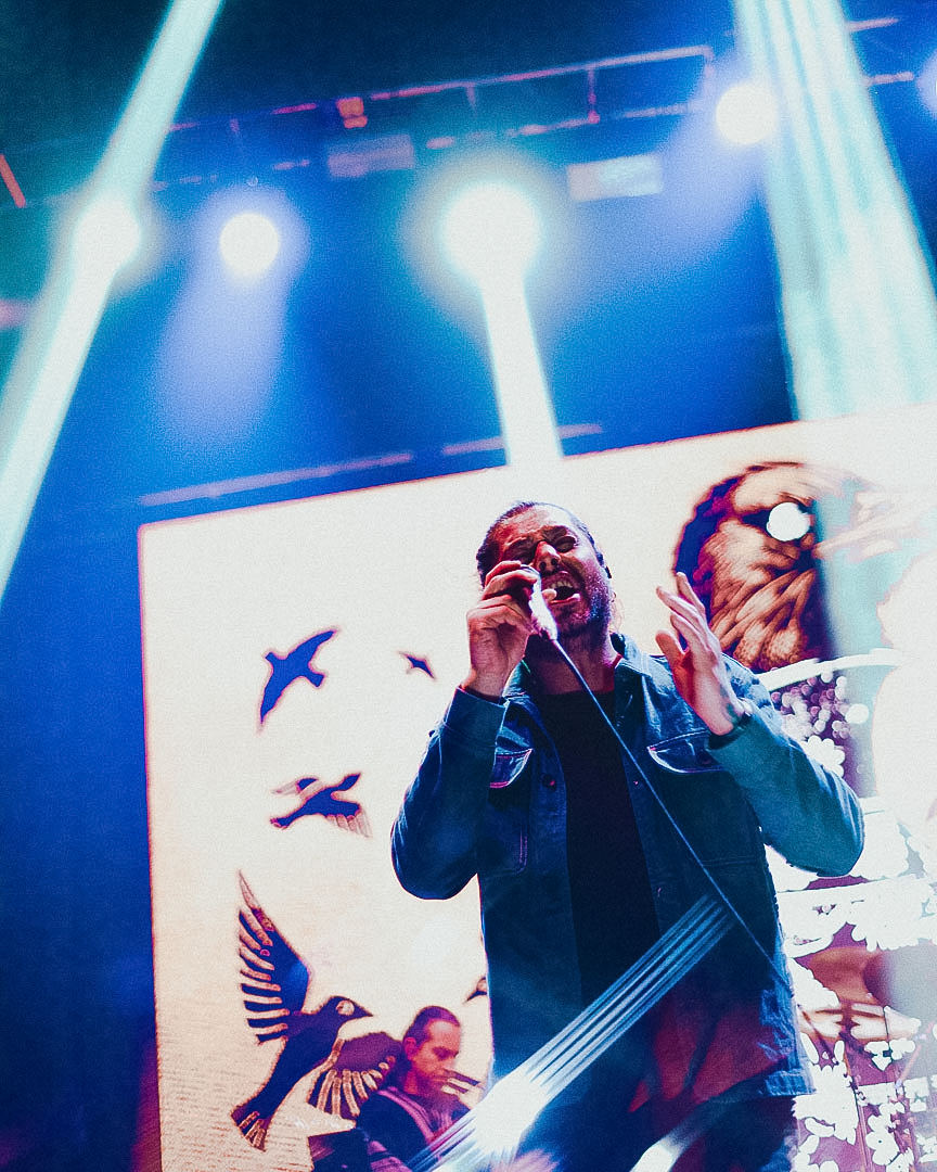 Kuervos del Sur - 15 años "Porvenir"