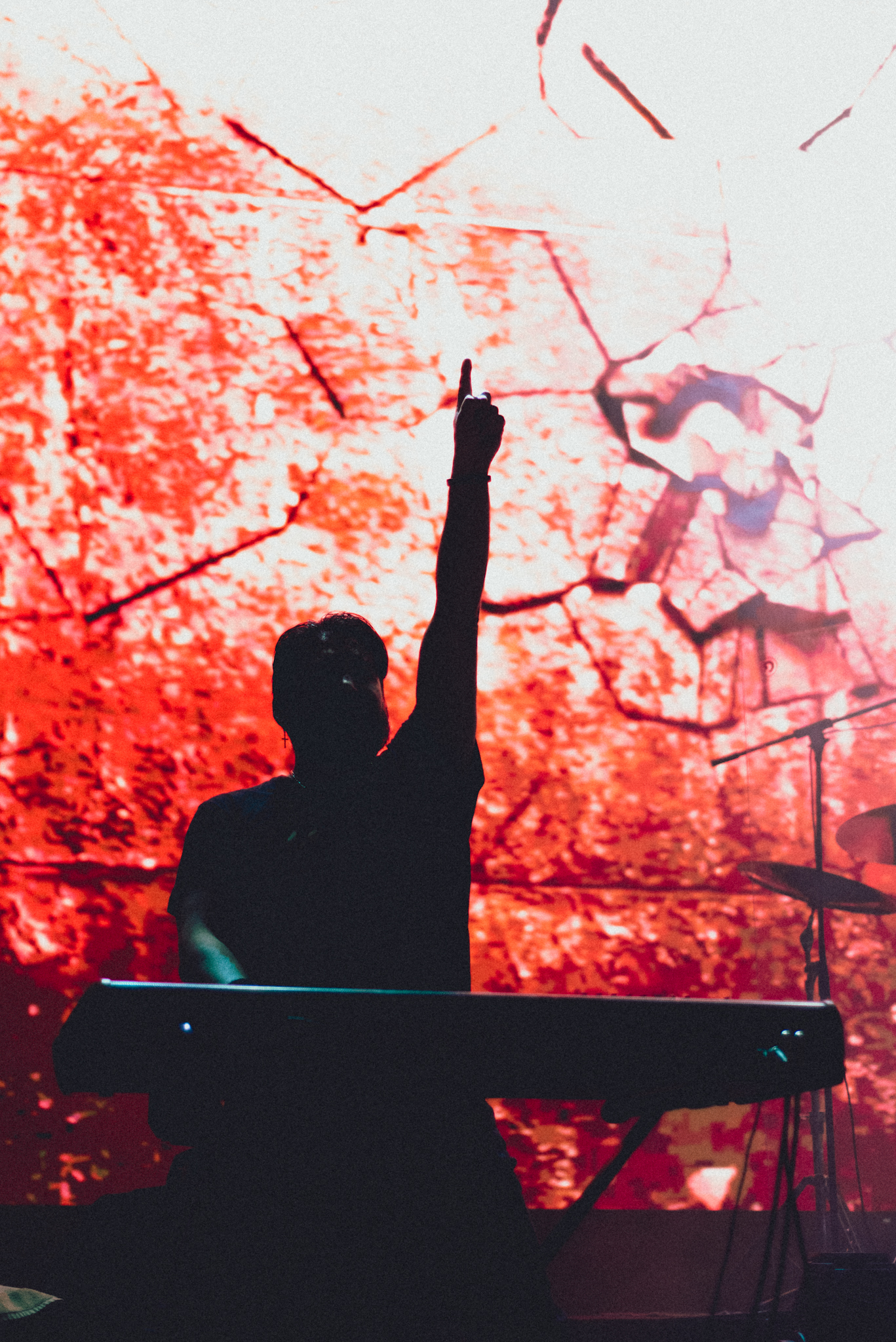 Destripando la Historia - En Concierto