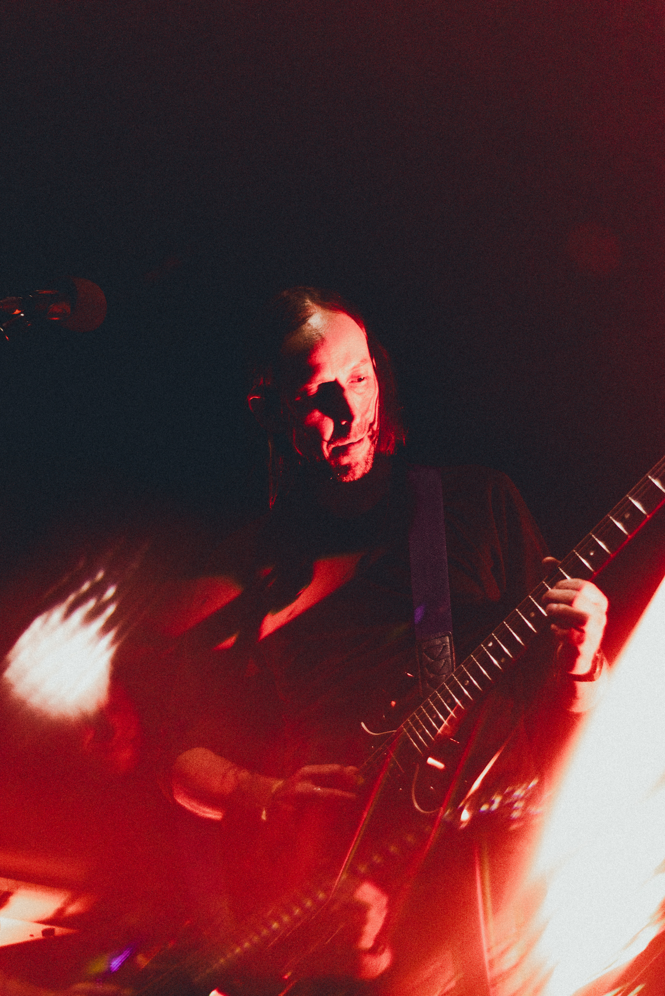 A.N.I.M.A.L. - 30 años