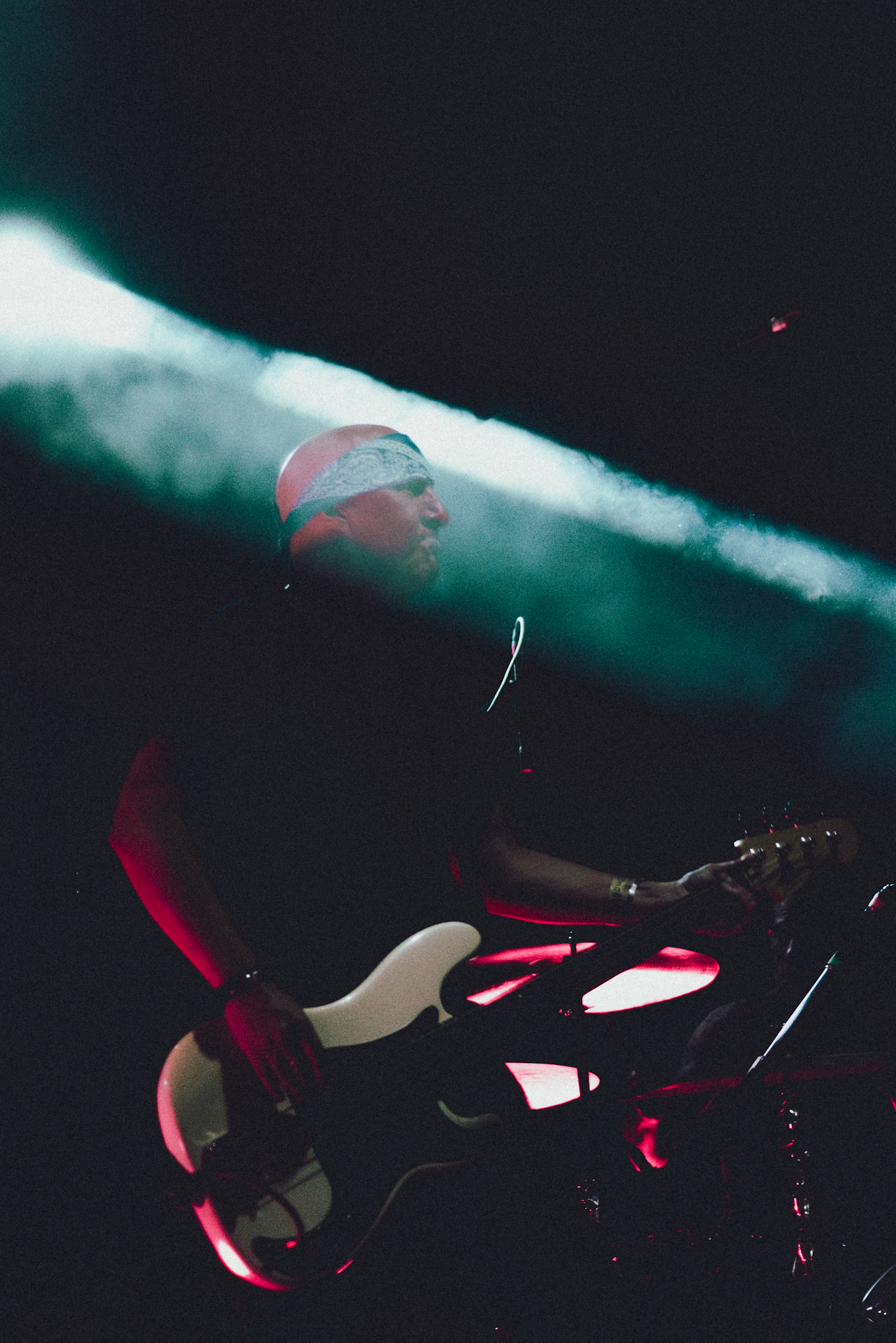 A.N.I.M.A.L. - 30 años