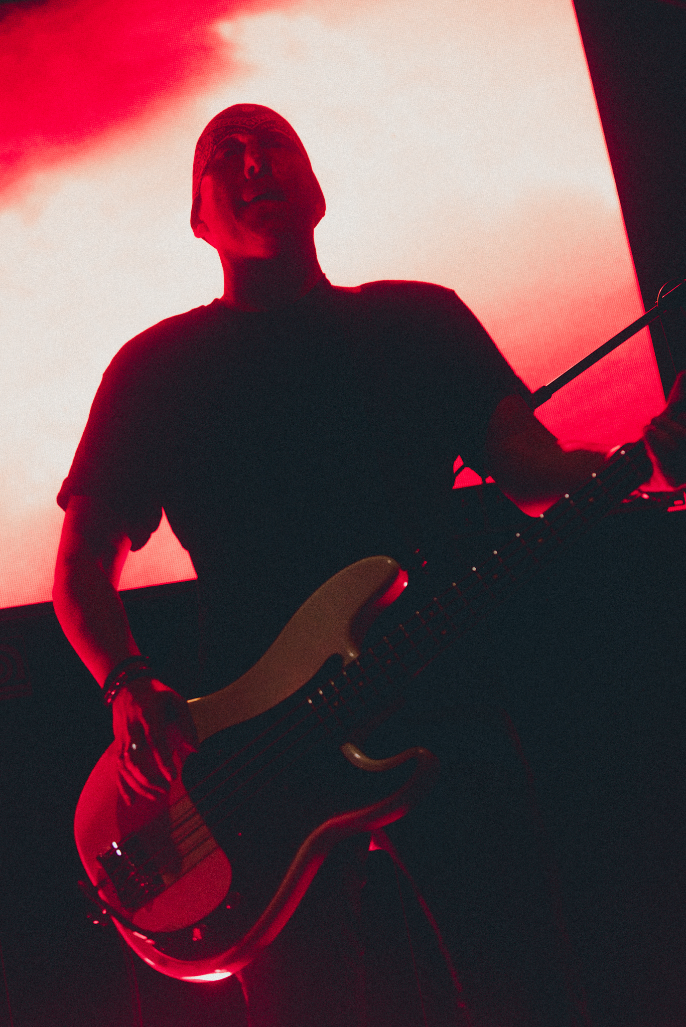 A.N.I.M.A.L. - 30 años