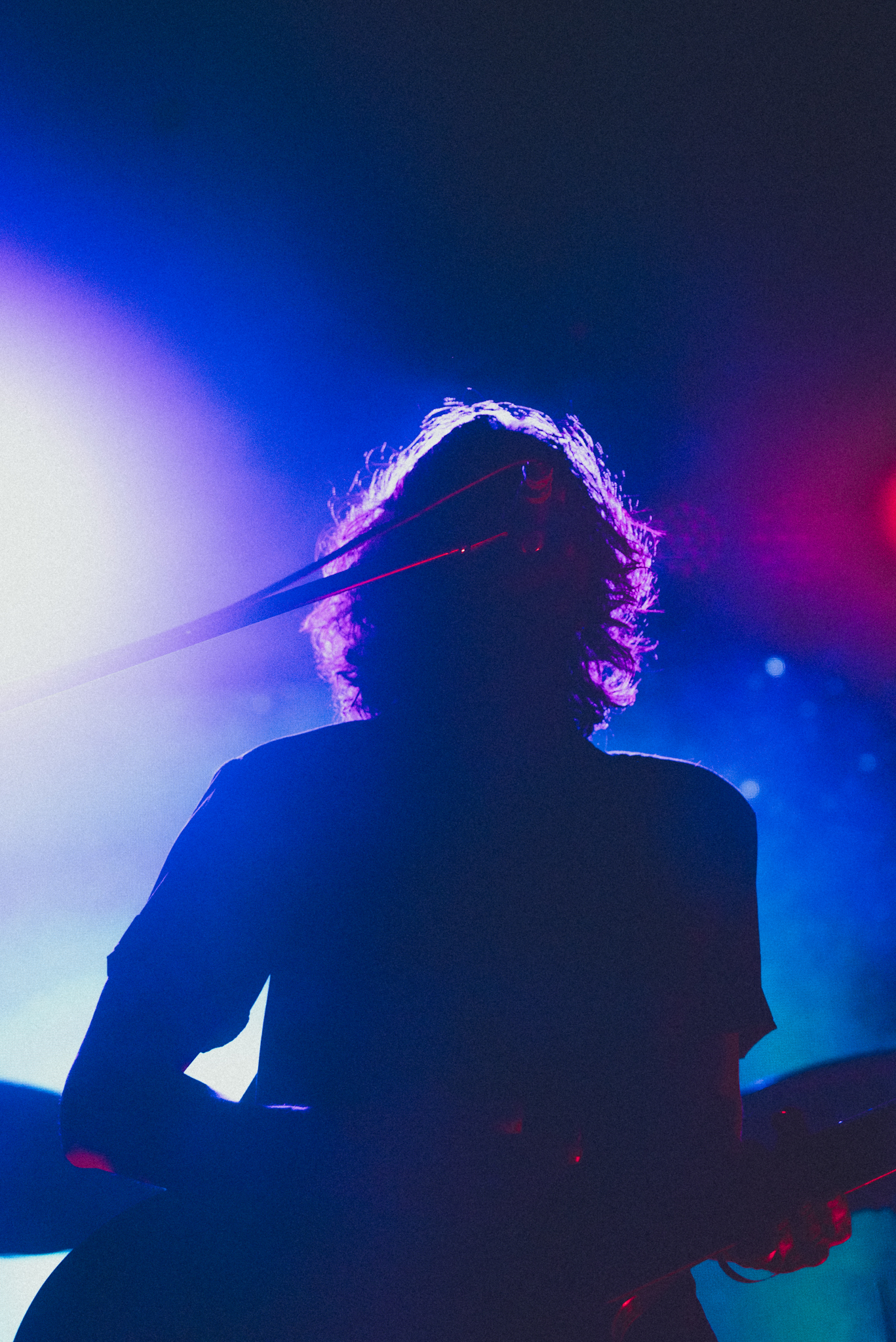 A.N.I.M.A.L. - 30 años