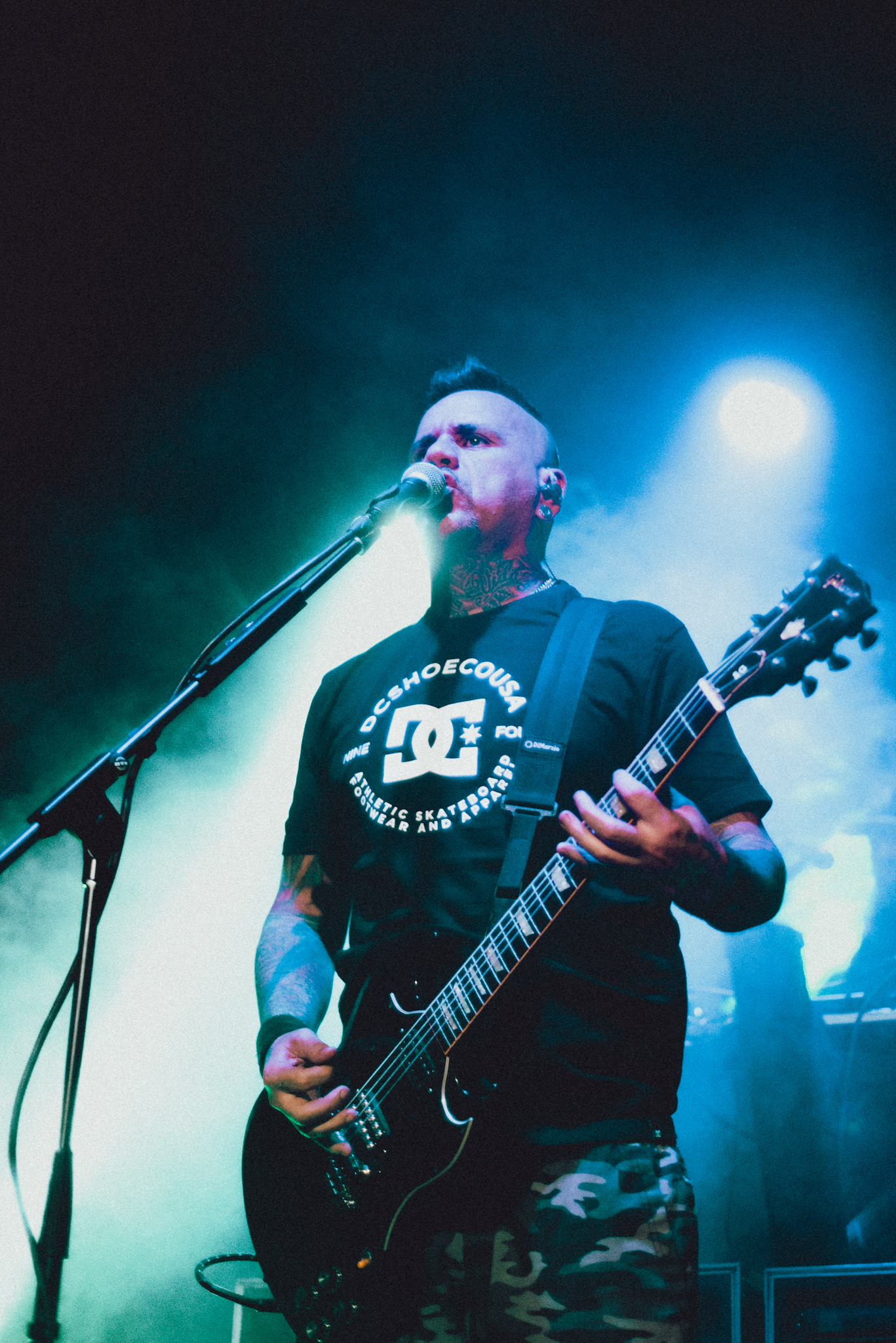 A.N.I.M.A.L. - 30 años