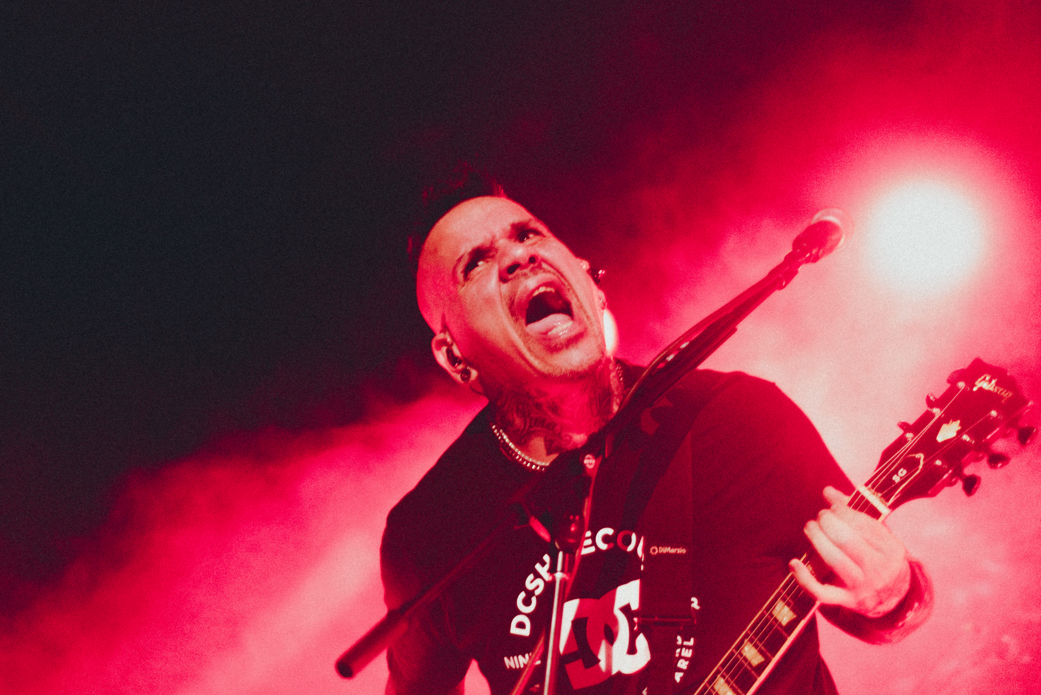 A.N.I.M.A.L. - 30 años