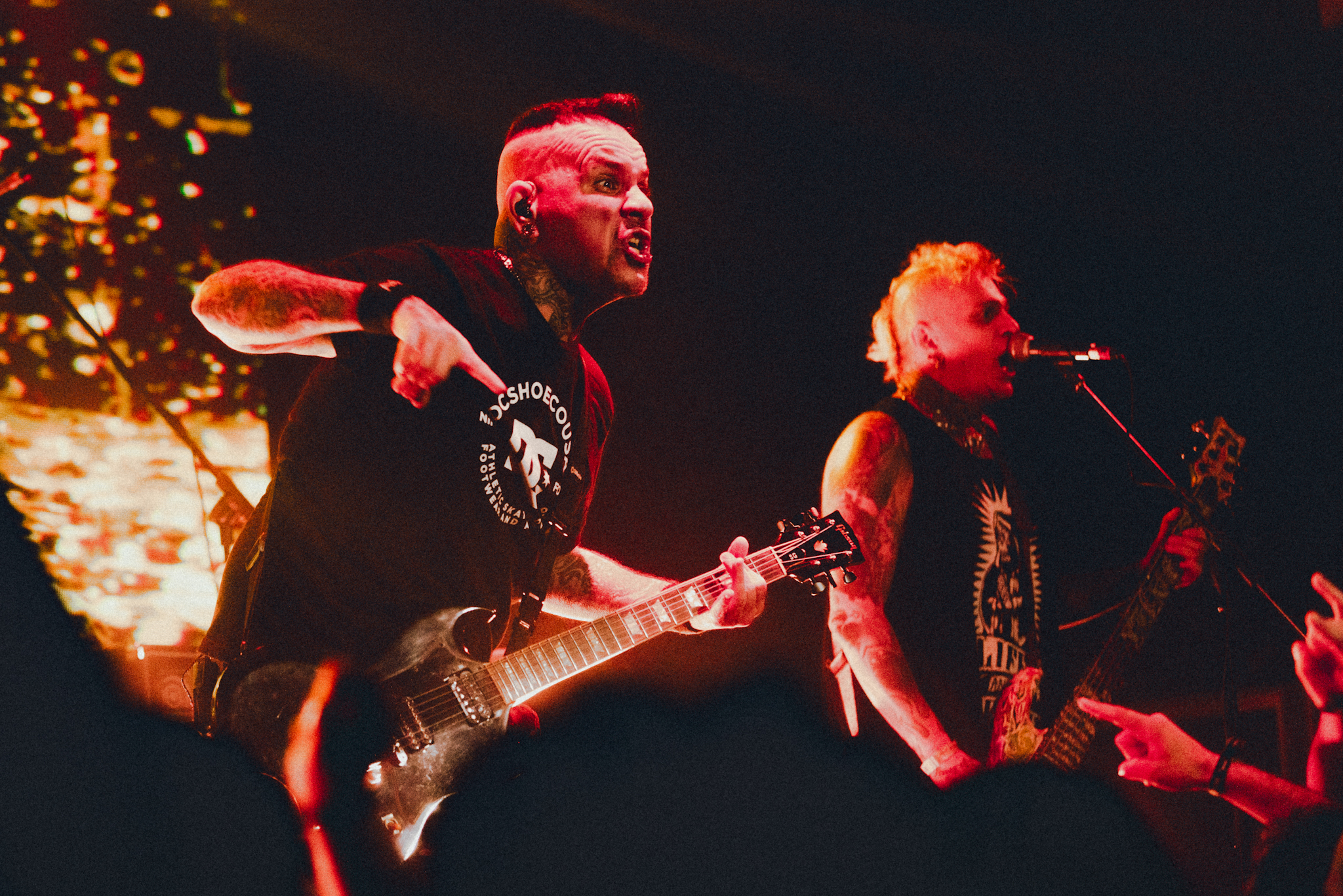 A.N.I.M.A.L. - 30 años