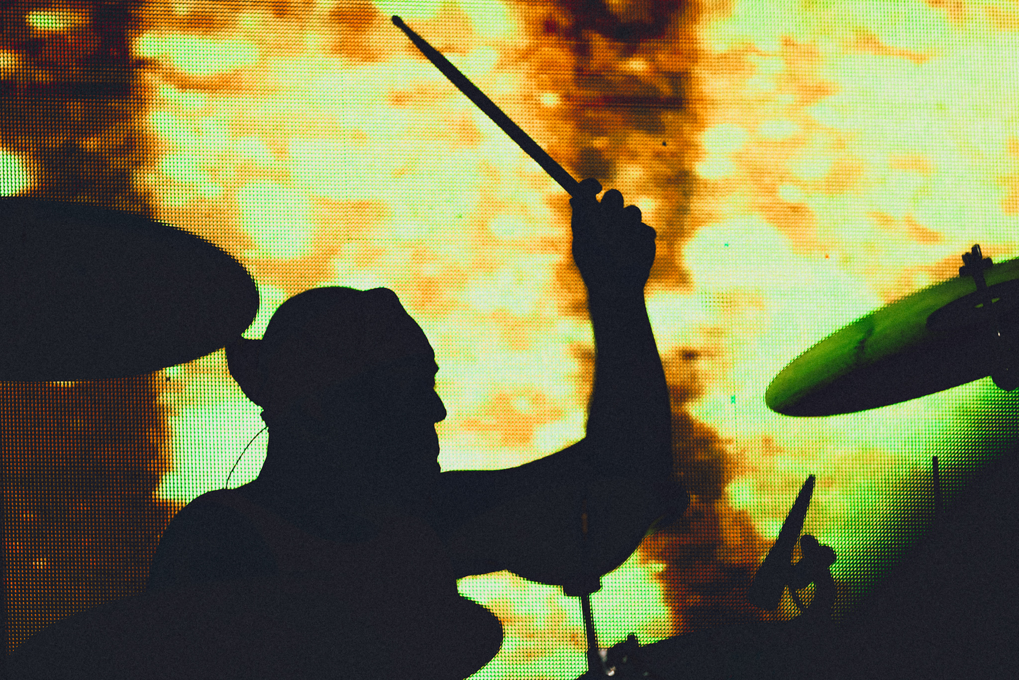 A.N.I.M.A.L. - 30 años