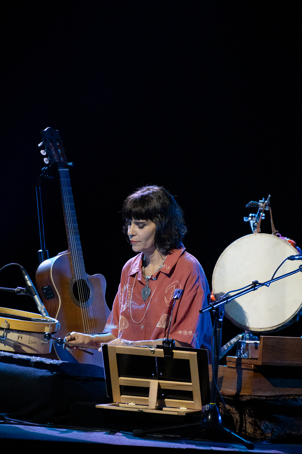 Gustavo Santaolalla - Ronroco Tour