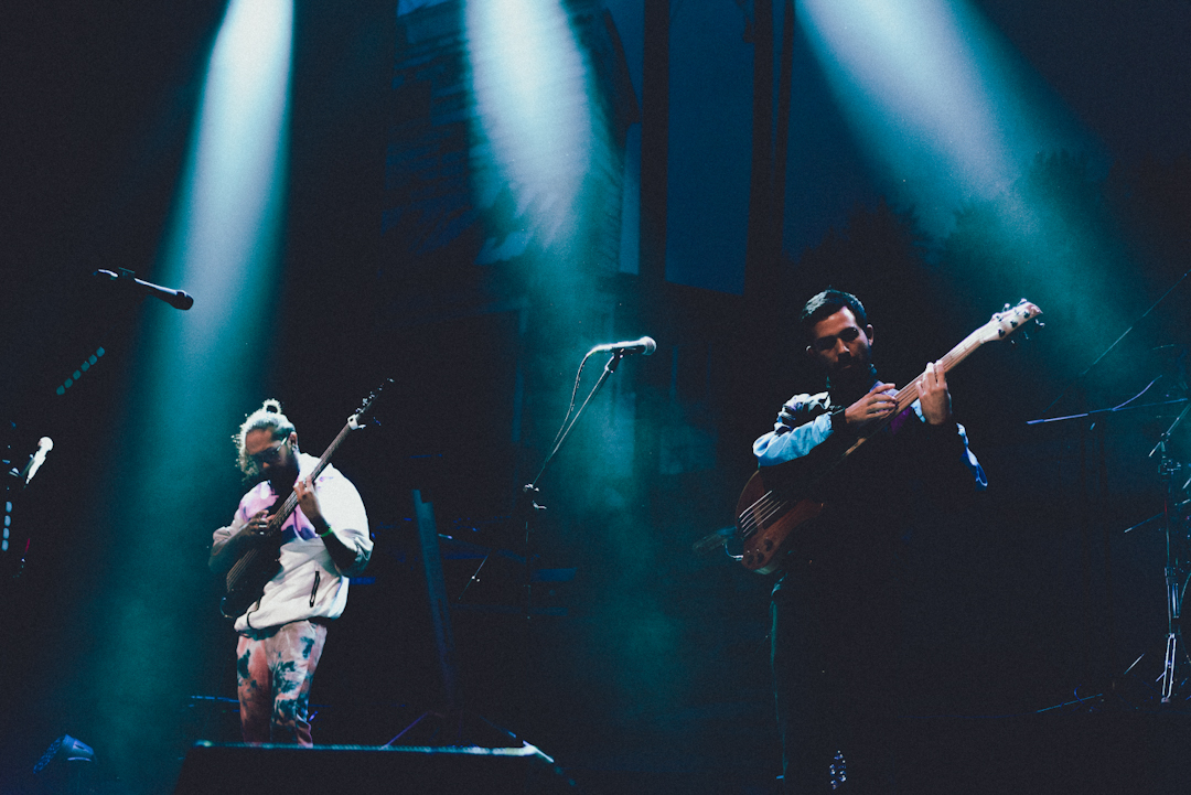 Fauna Primavera 2024 - Día 2