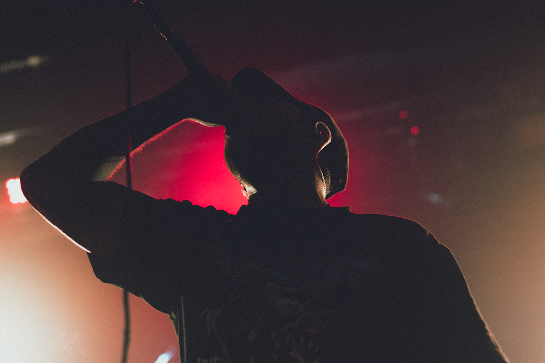 Chelsea Grin - Swansong