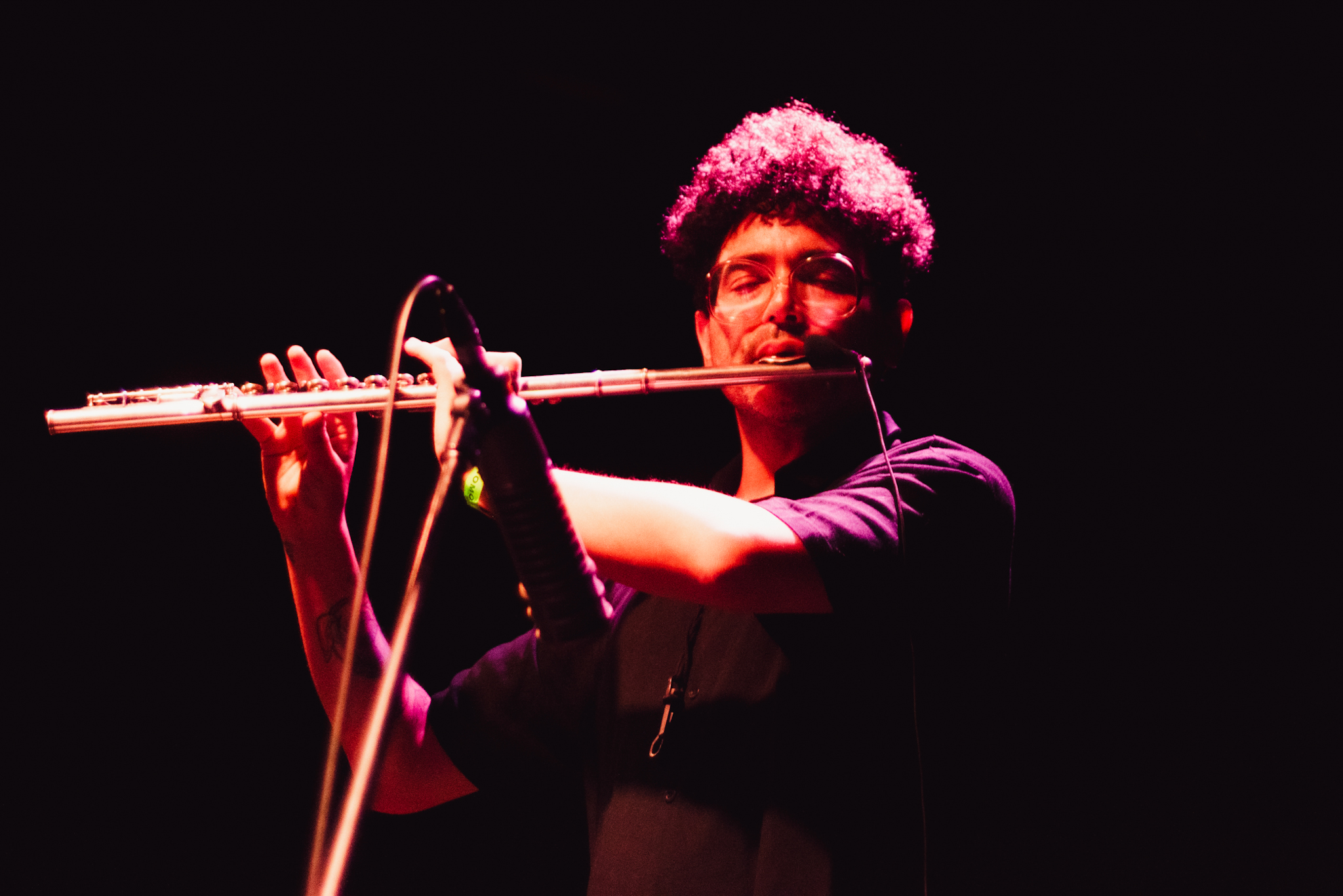 Tenemos Explosivos & Cómo Asesinar a Felipes