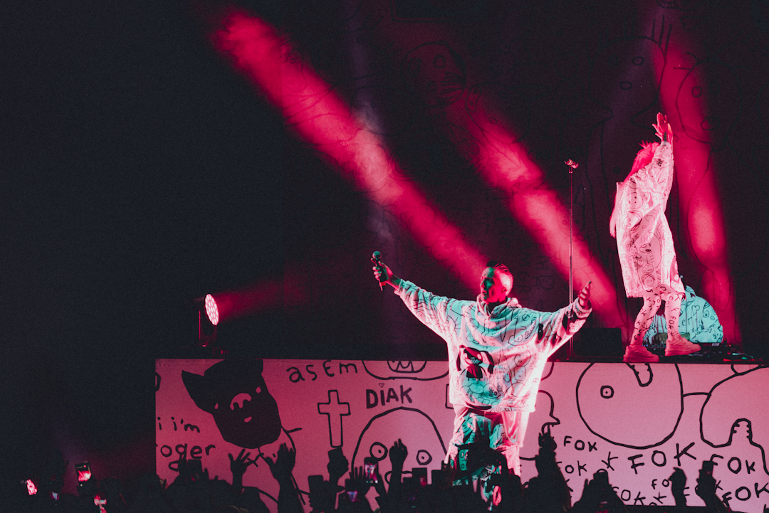 Die Antwoord