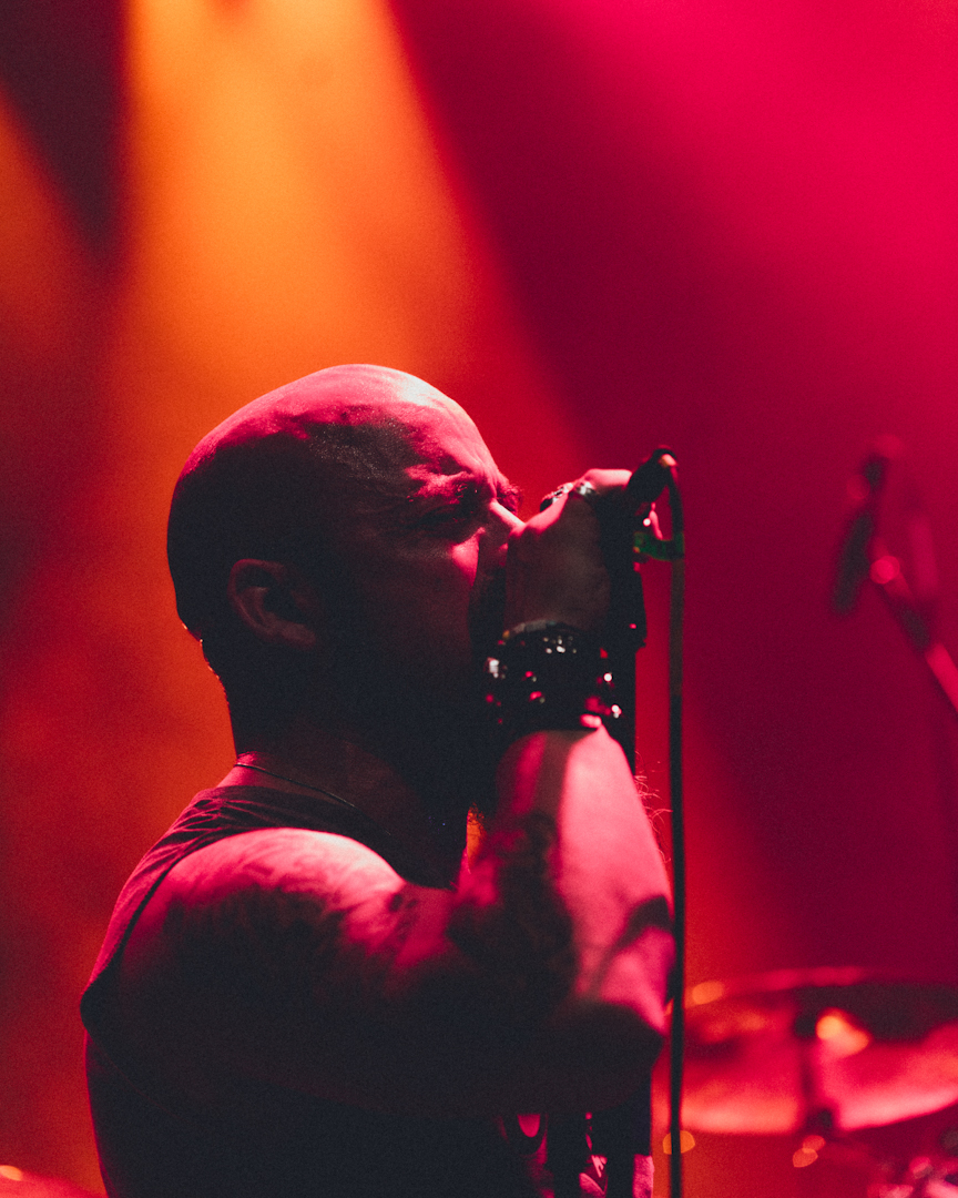 Dirkschneider - Balls to the Wall 40th Anniversary