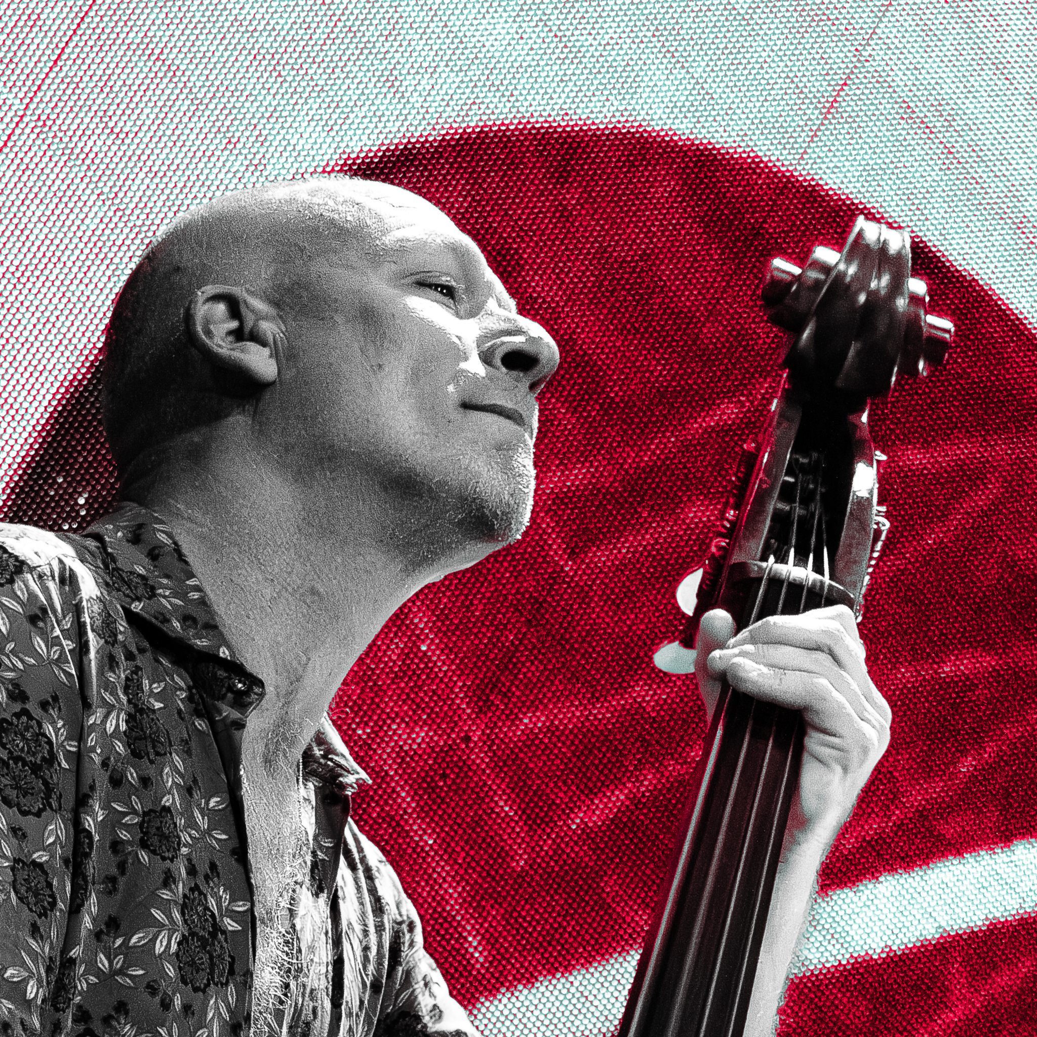 Avishai Cohen Trio - Brighlight Tour