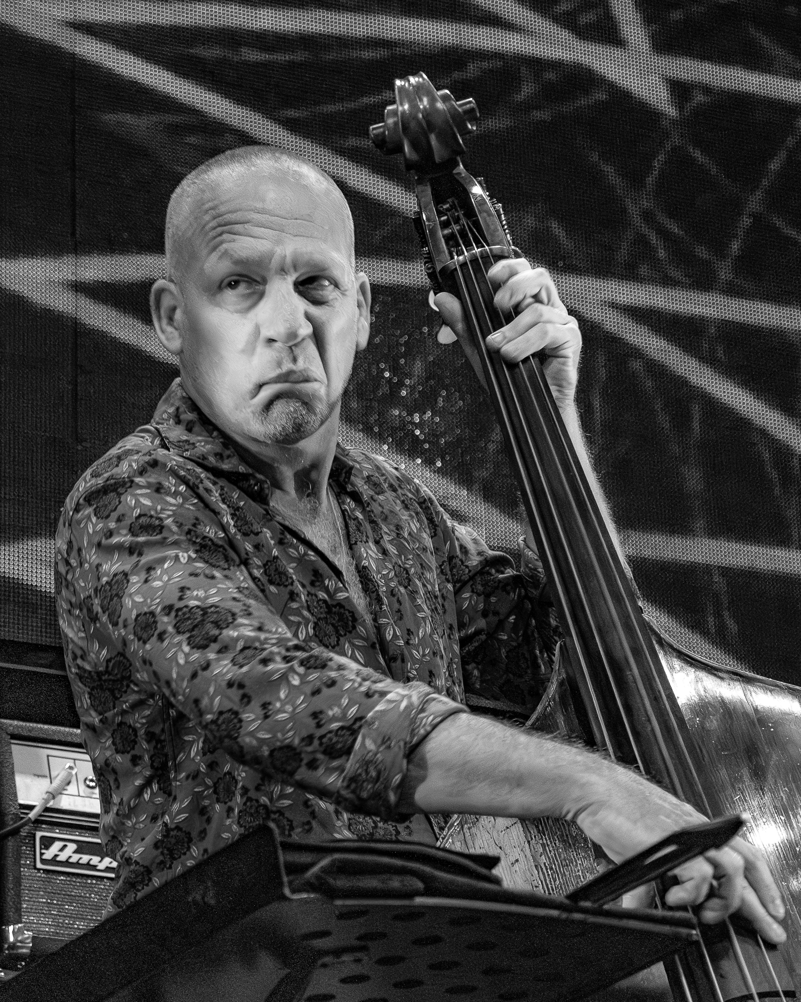 Avishai Cohen Trio - Brighlight Tour