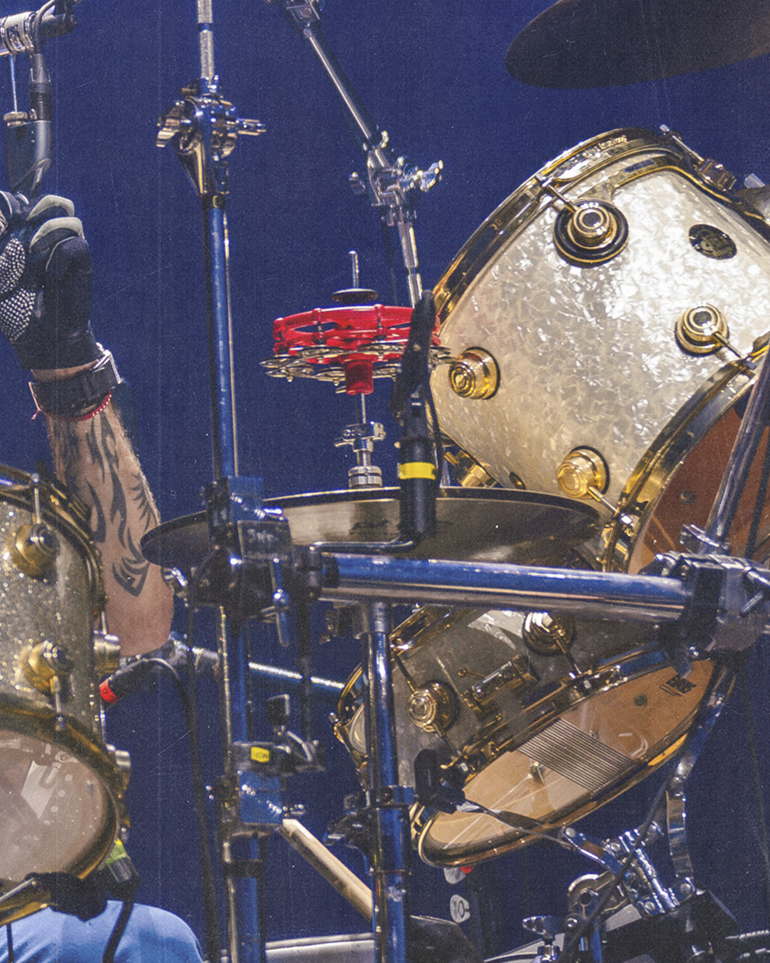 Lucybell - Peces 30 Años