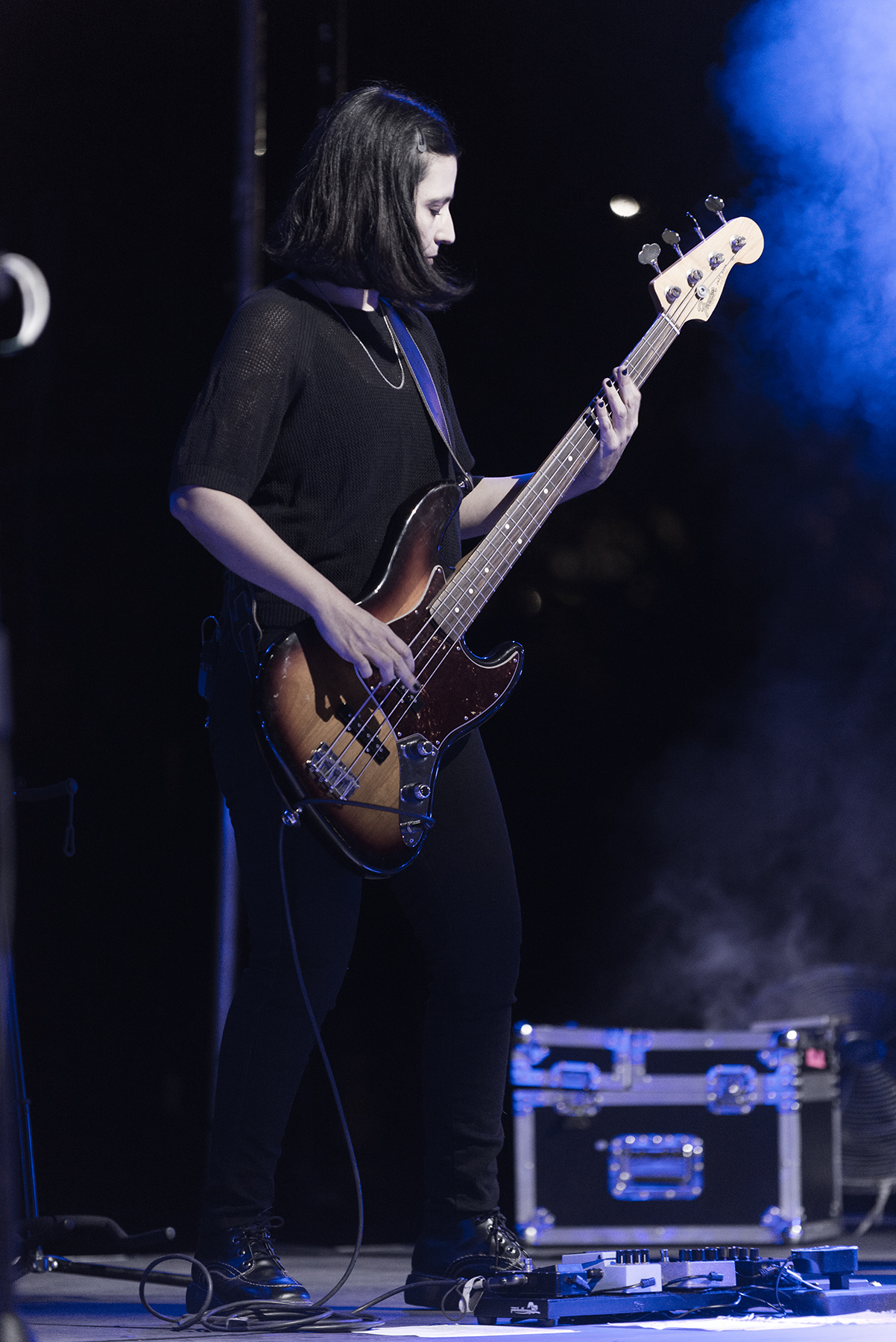 Electrodomésticos - La Nueva Canción Chilena