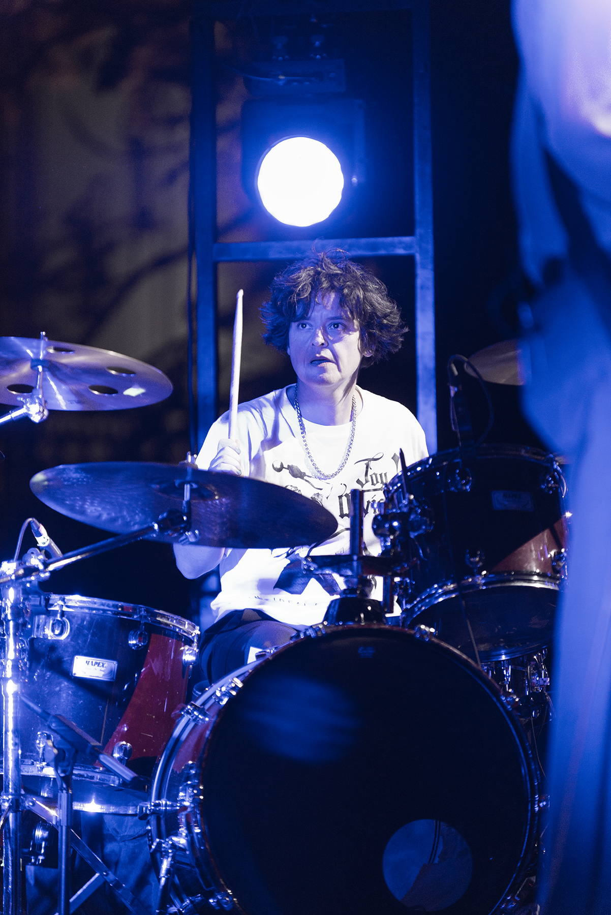 Electrodomésticos - La Nueva Canción Chilena