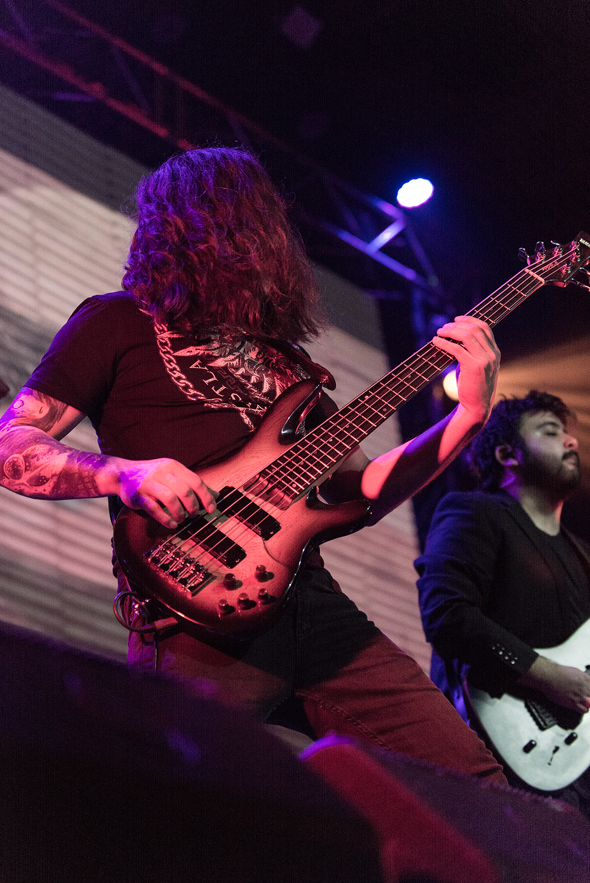 Crisálida - Mandrácula