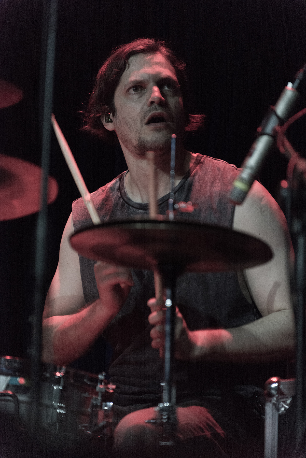 Crisálida - Mandrácula