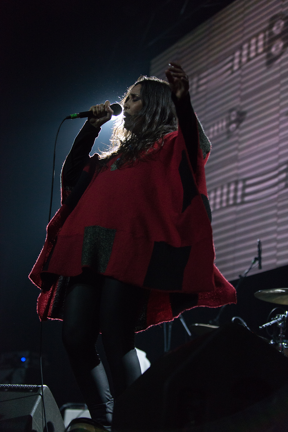 Crisálida - Mandrácula