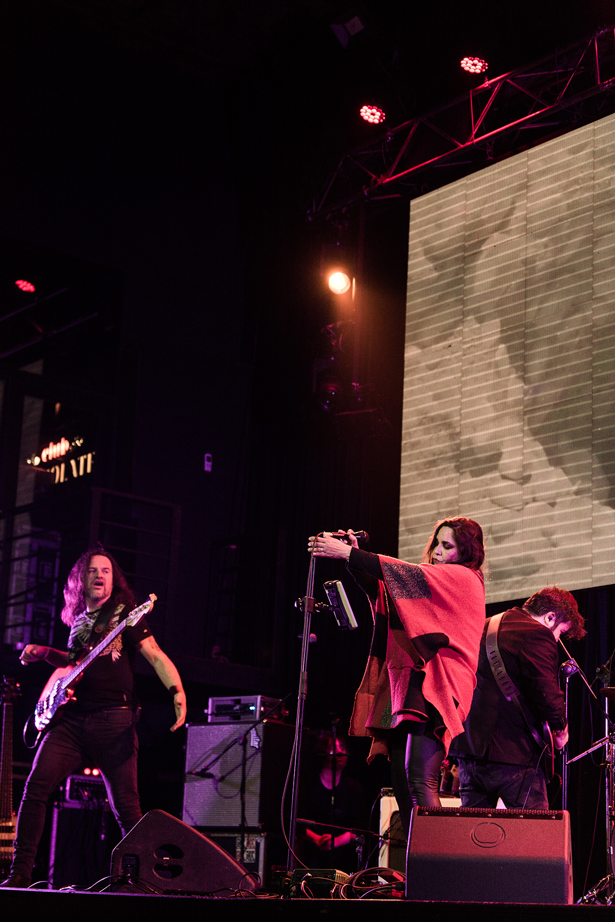 Crisálida - Mandrácula