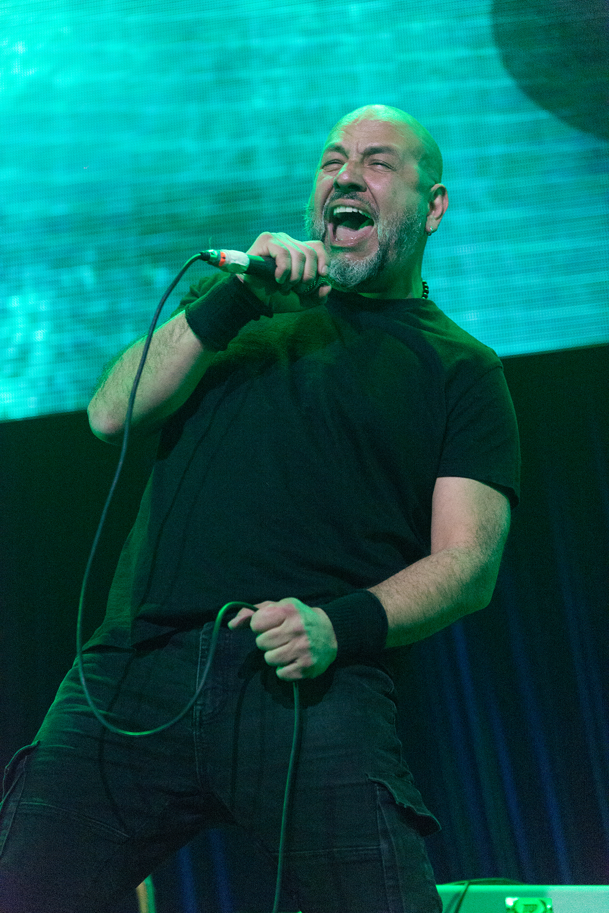 Crisálida - Mandrácula