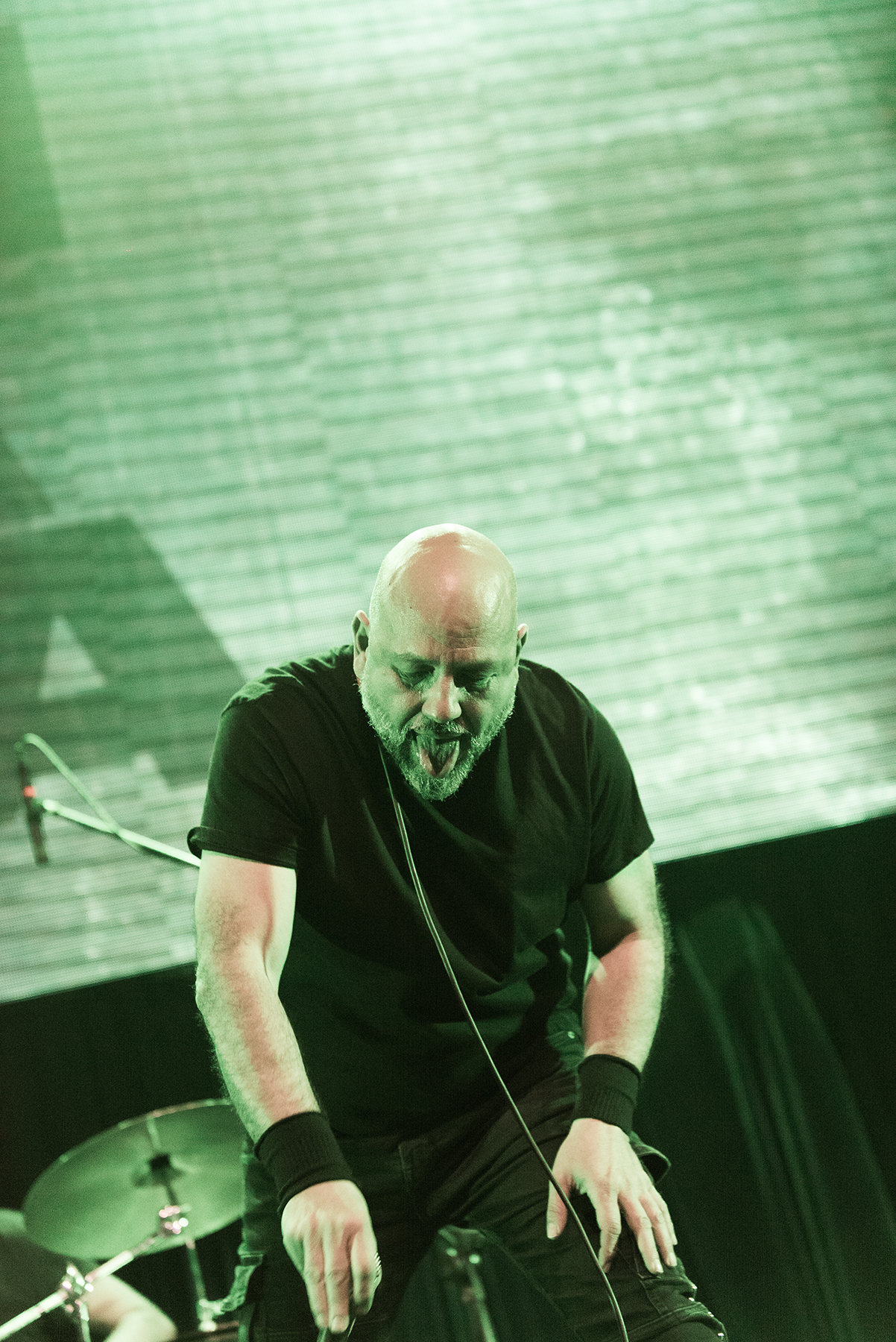 Crisálida - Mandrácula