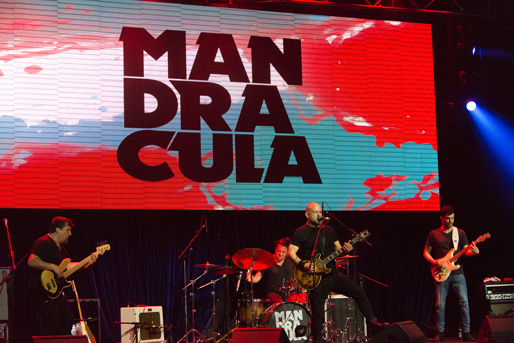 Crisálida - Mandrácula