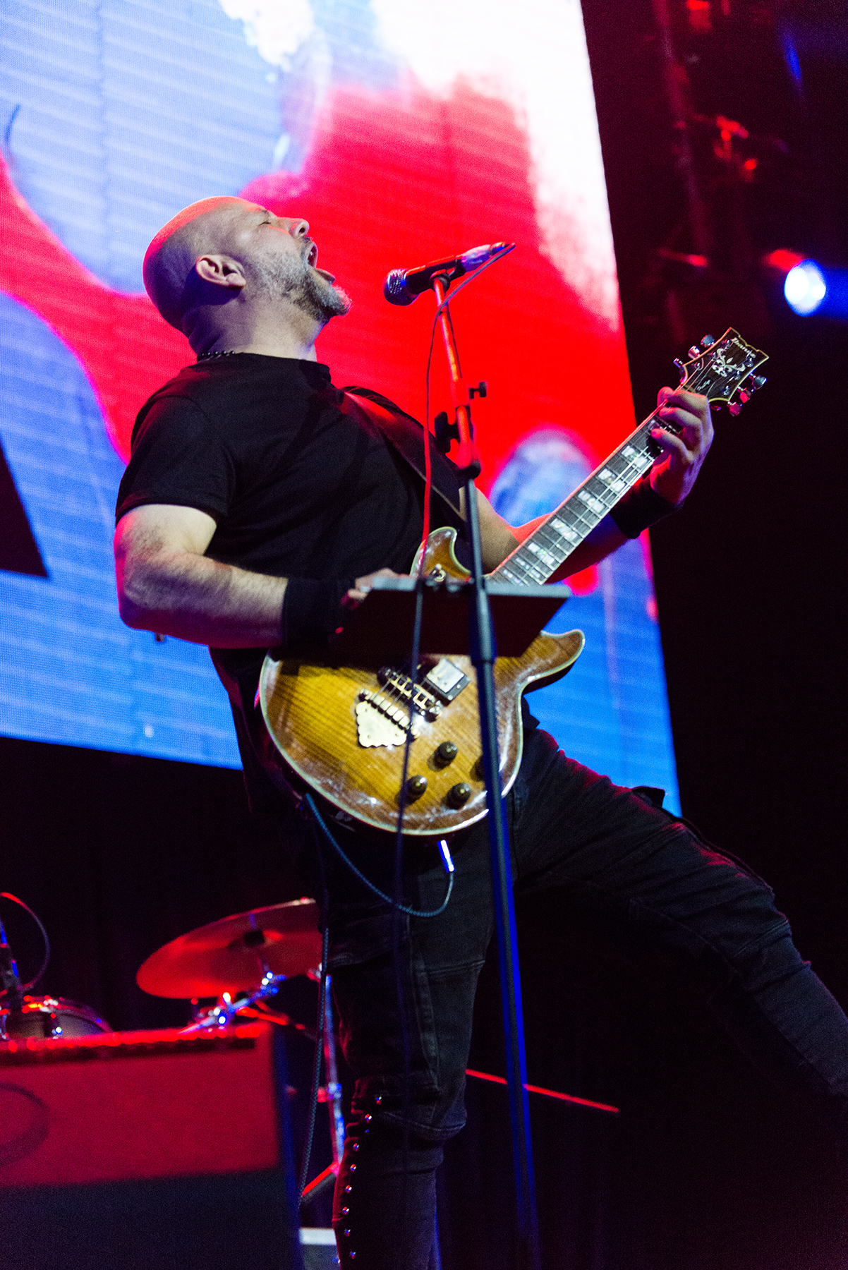 Crisálida - Mandrácula