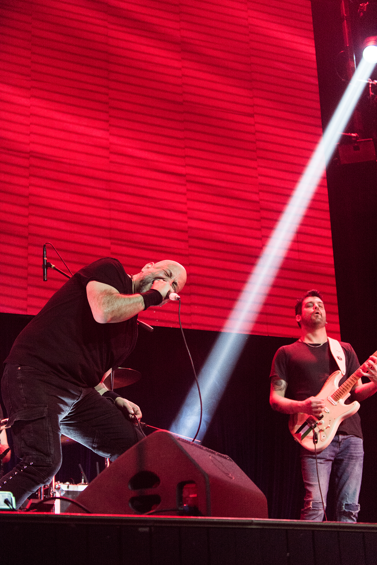 Crisálida - Mandrácula