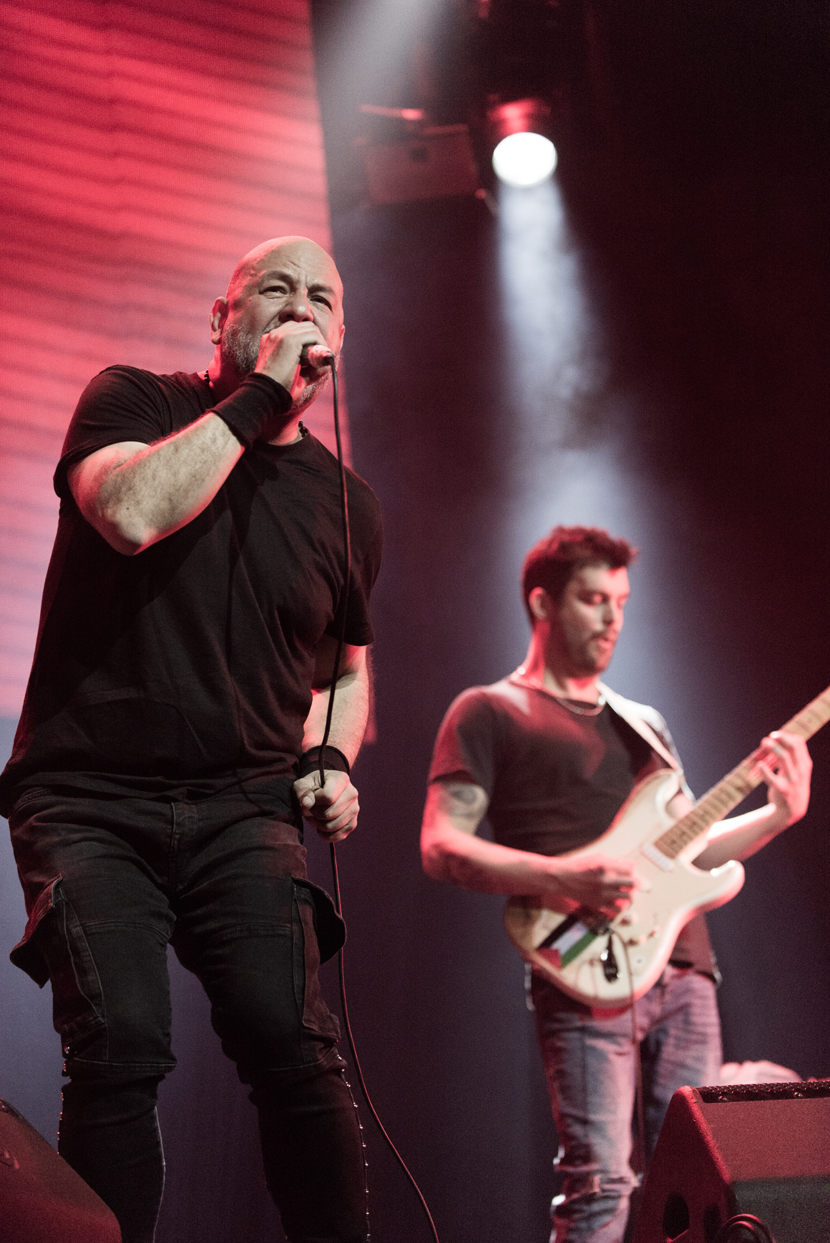 Crisálida - Mandrácula