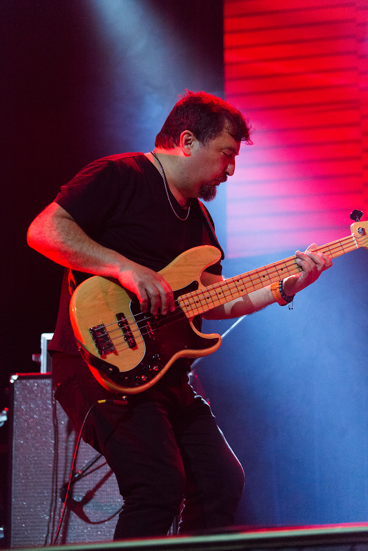 Crisálida - Mandrácula