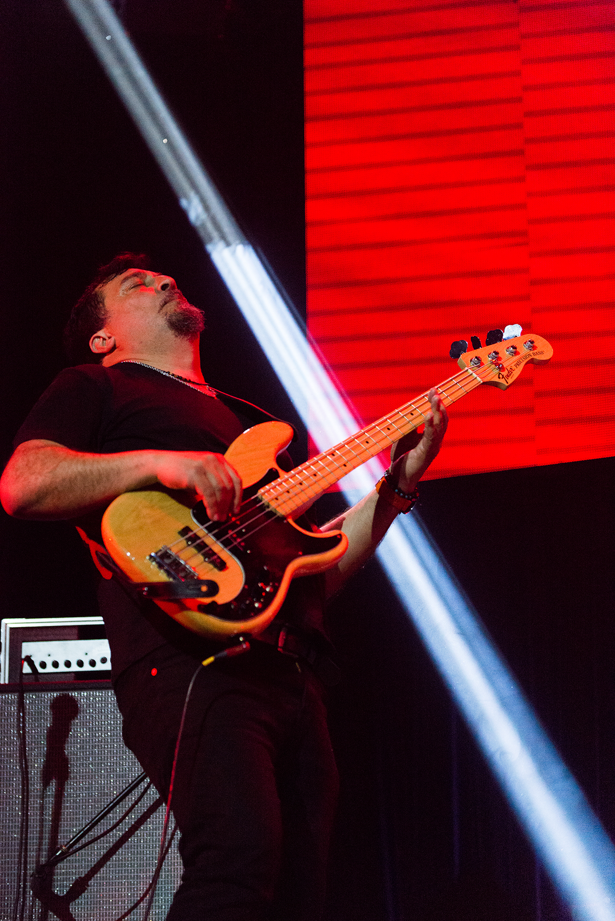 Crisálida - Mandrácula