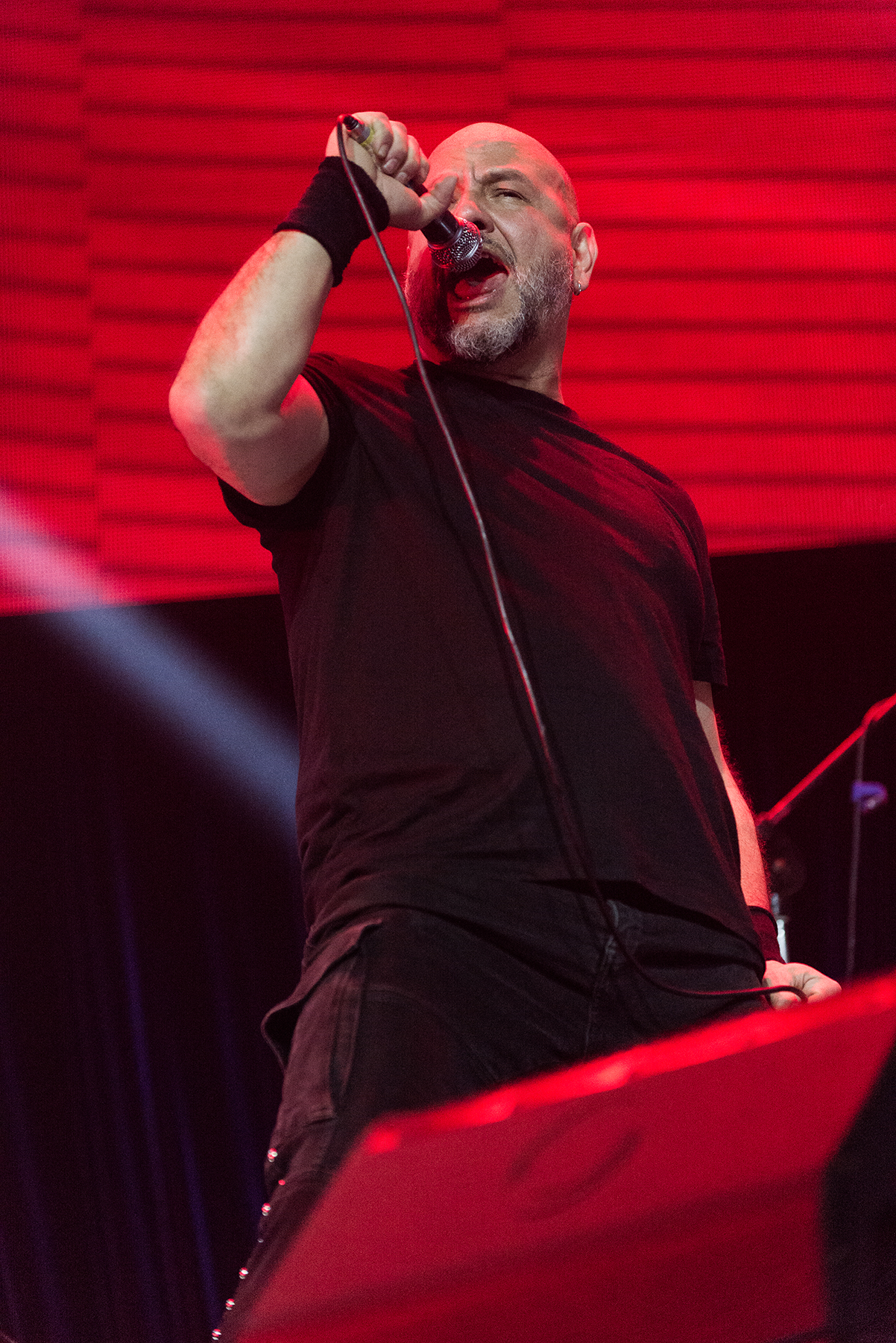 Crisálida - Mandrácula