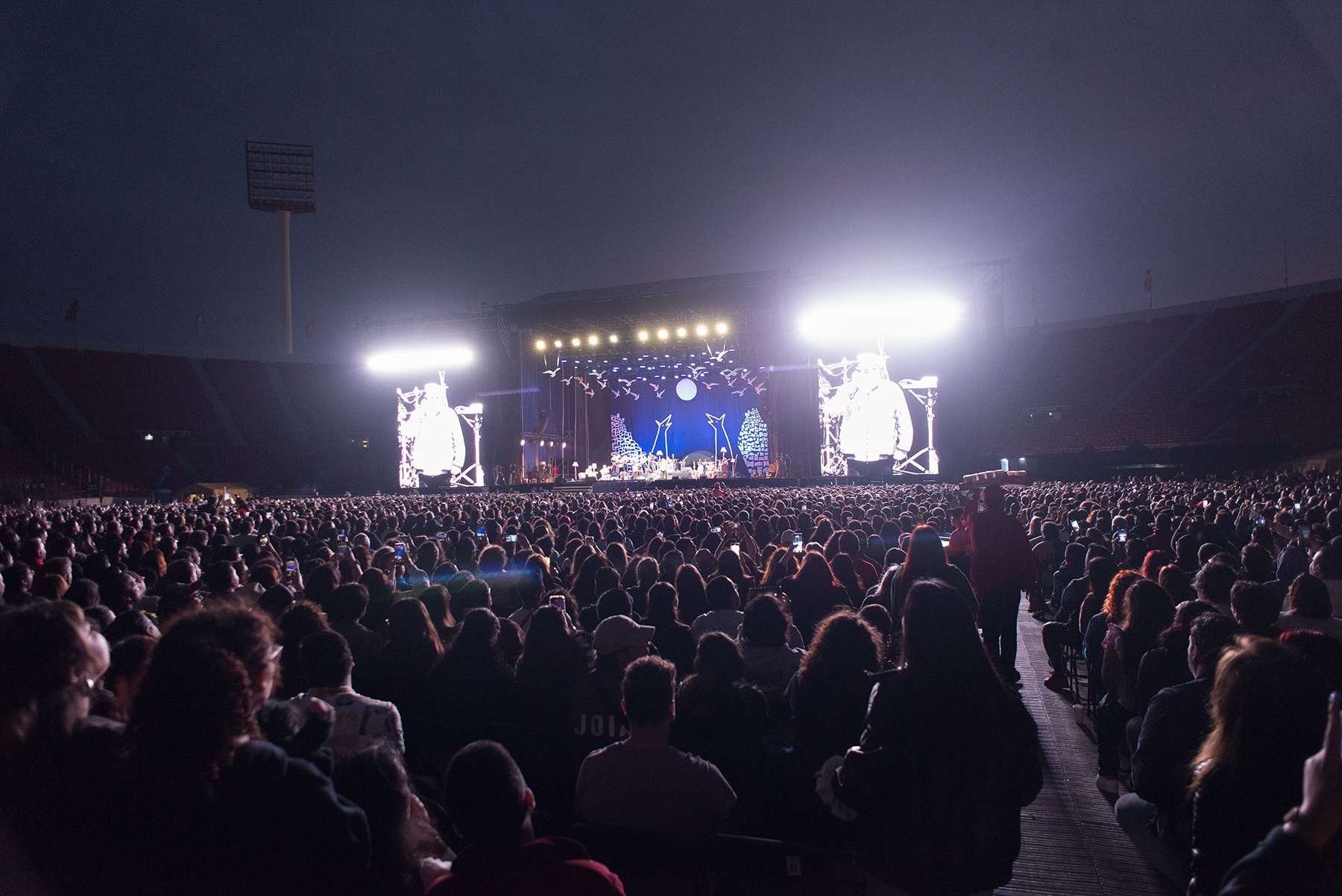 Macha y El Bloque Depresivo