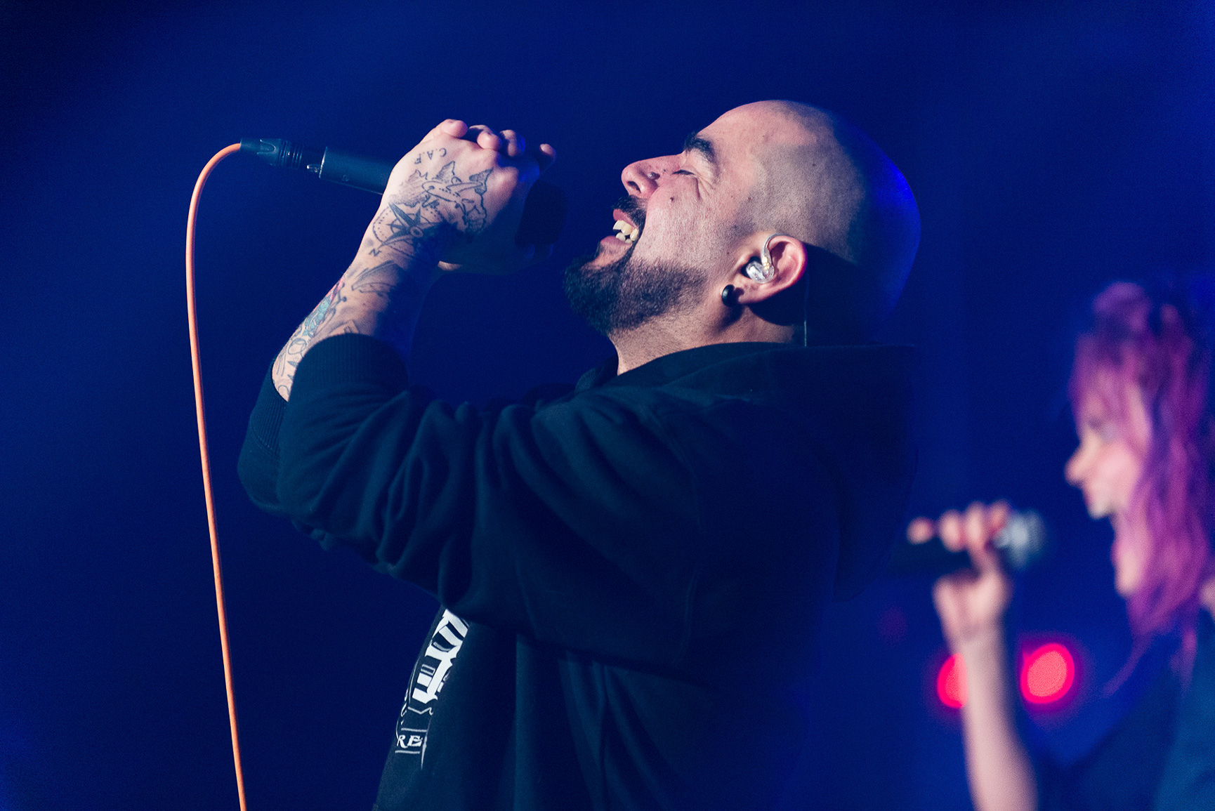 Como Asesinar a Felipes "Naturaleza Muerta"  -  13 Julio 2019