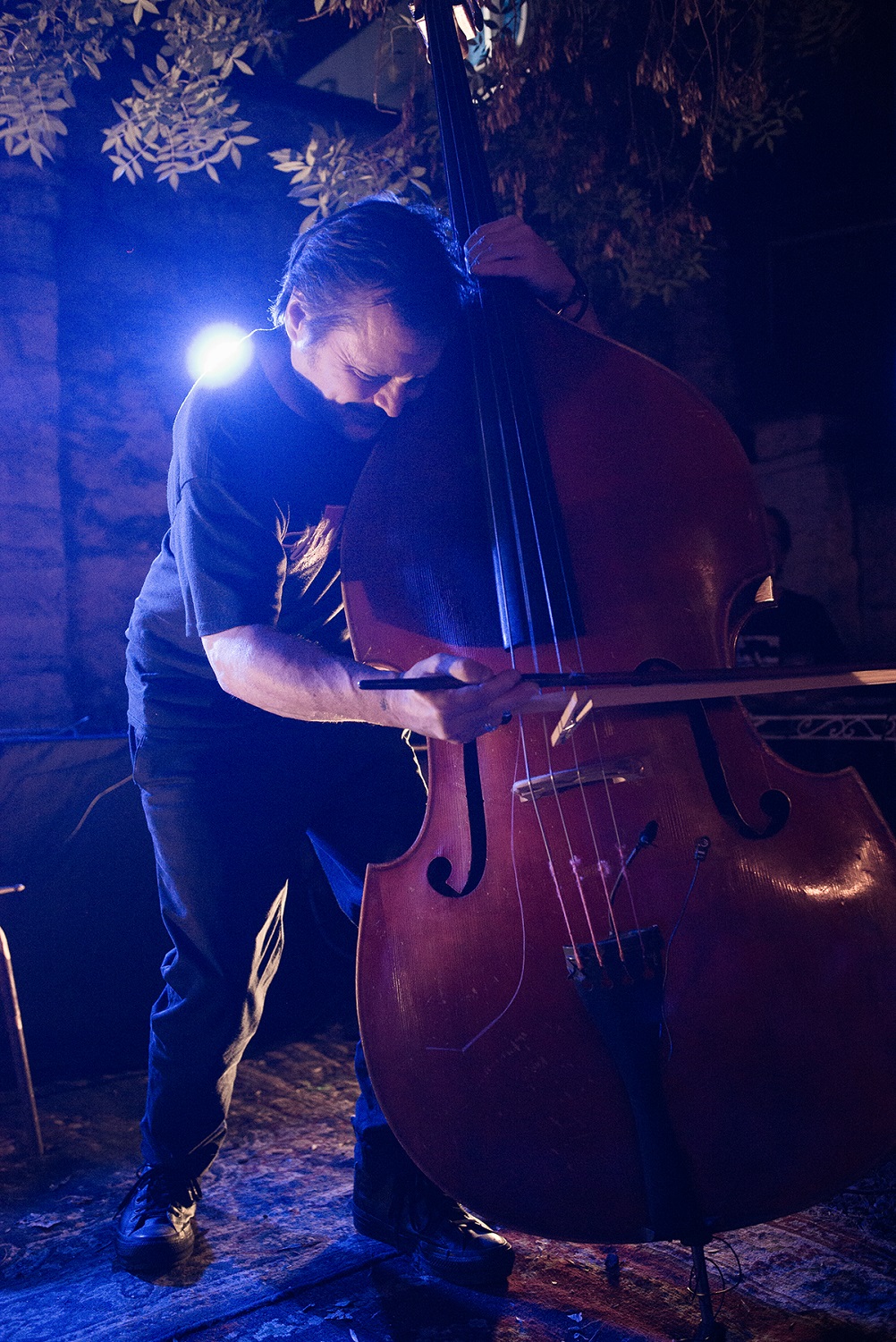 Trevor Dunn & Amanda Irarrázabal + Brakhage